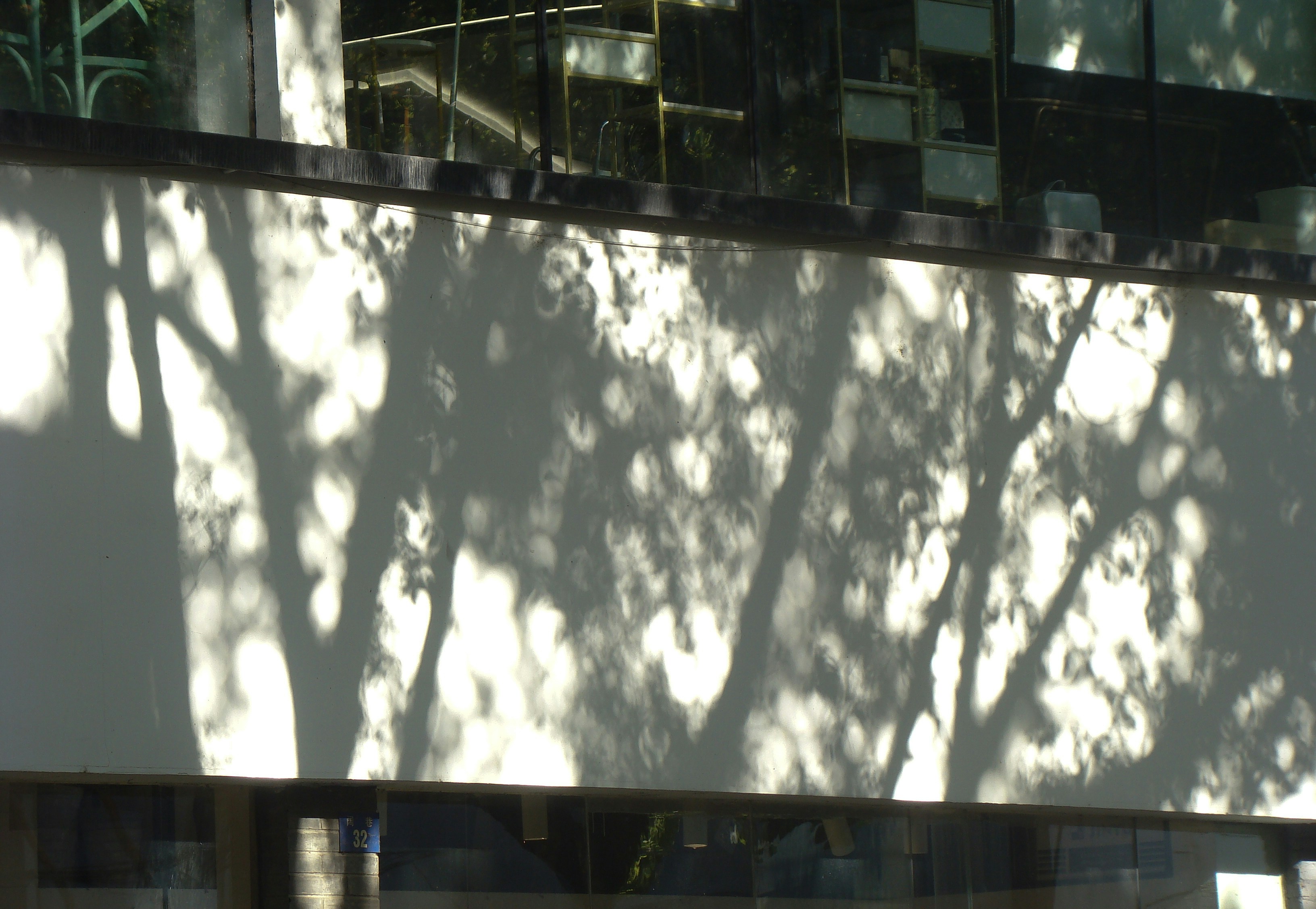 Photo by maro_of_sengu