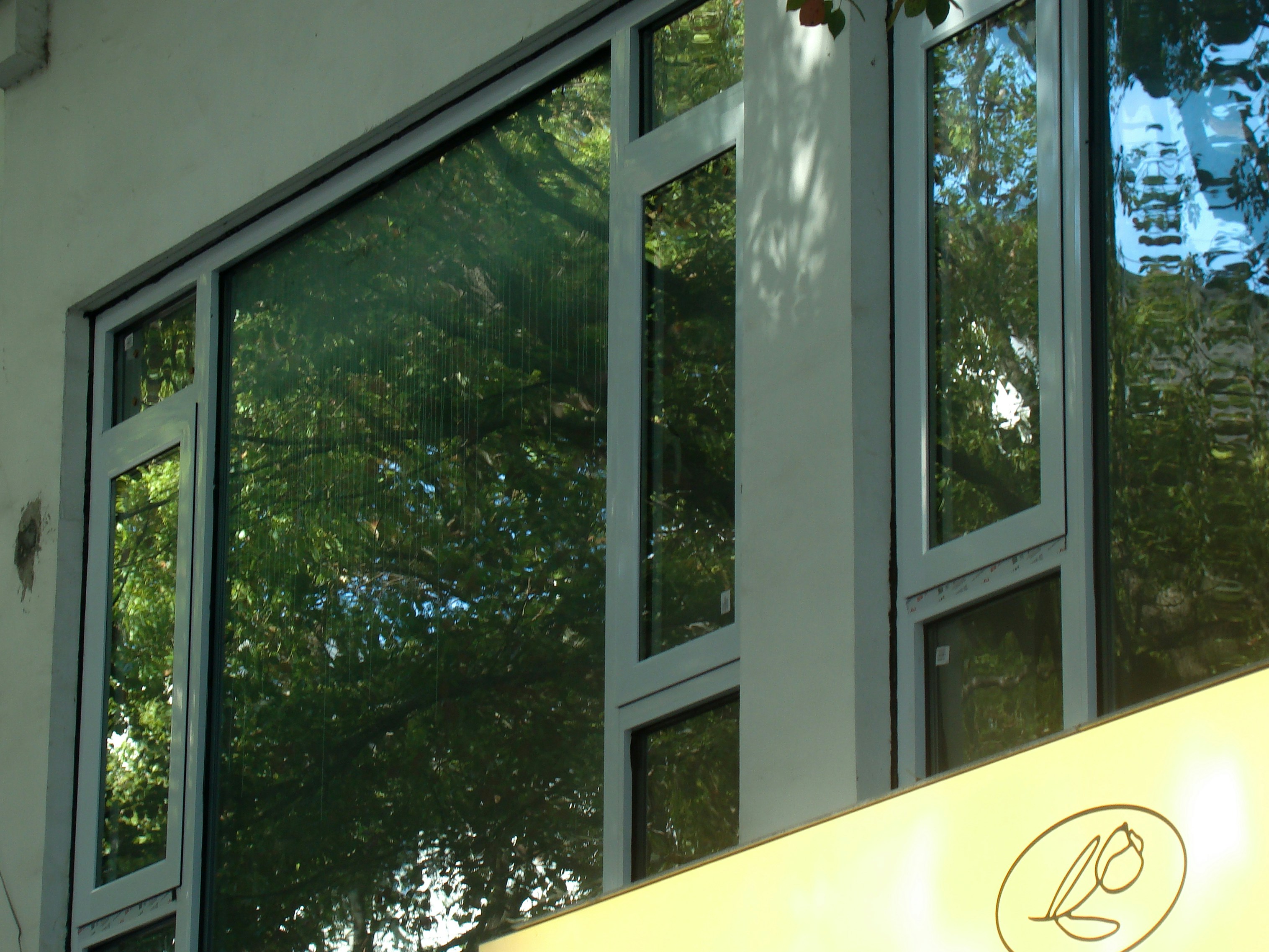 Photo by maro_of_sengu