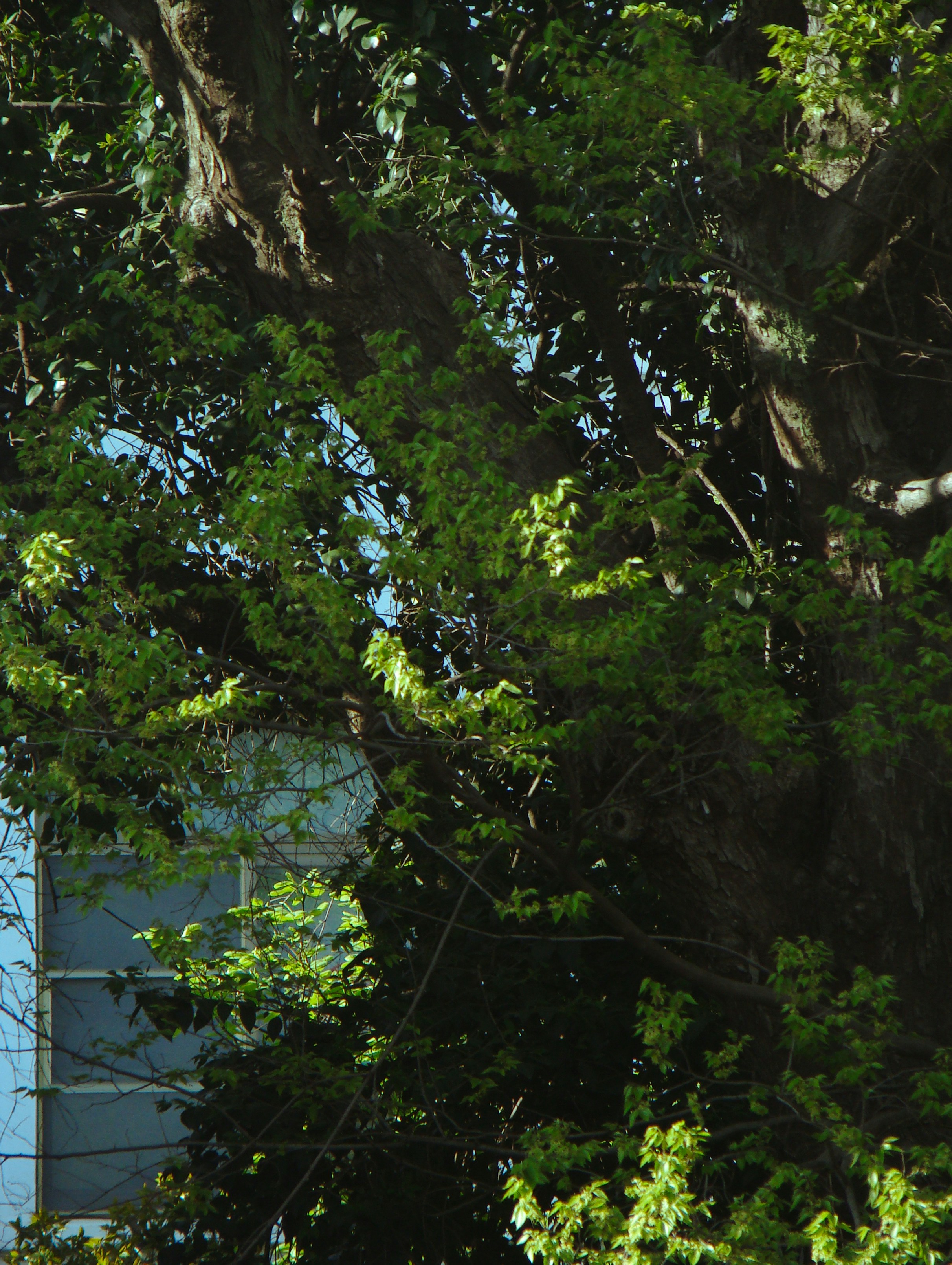 Photo by maro_of_sengu