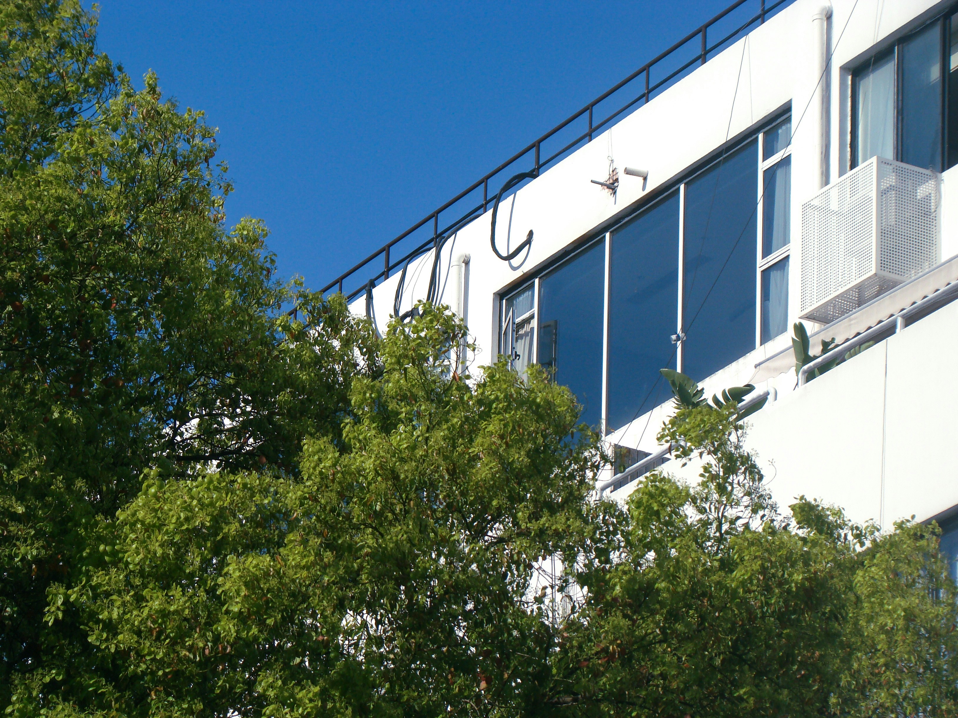 Photo by maro_of_sengu