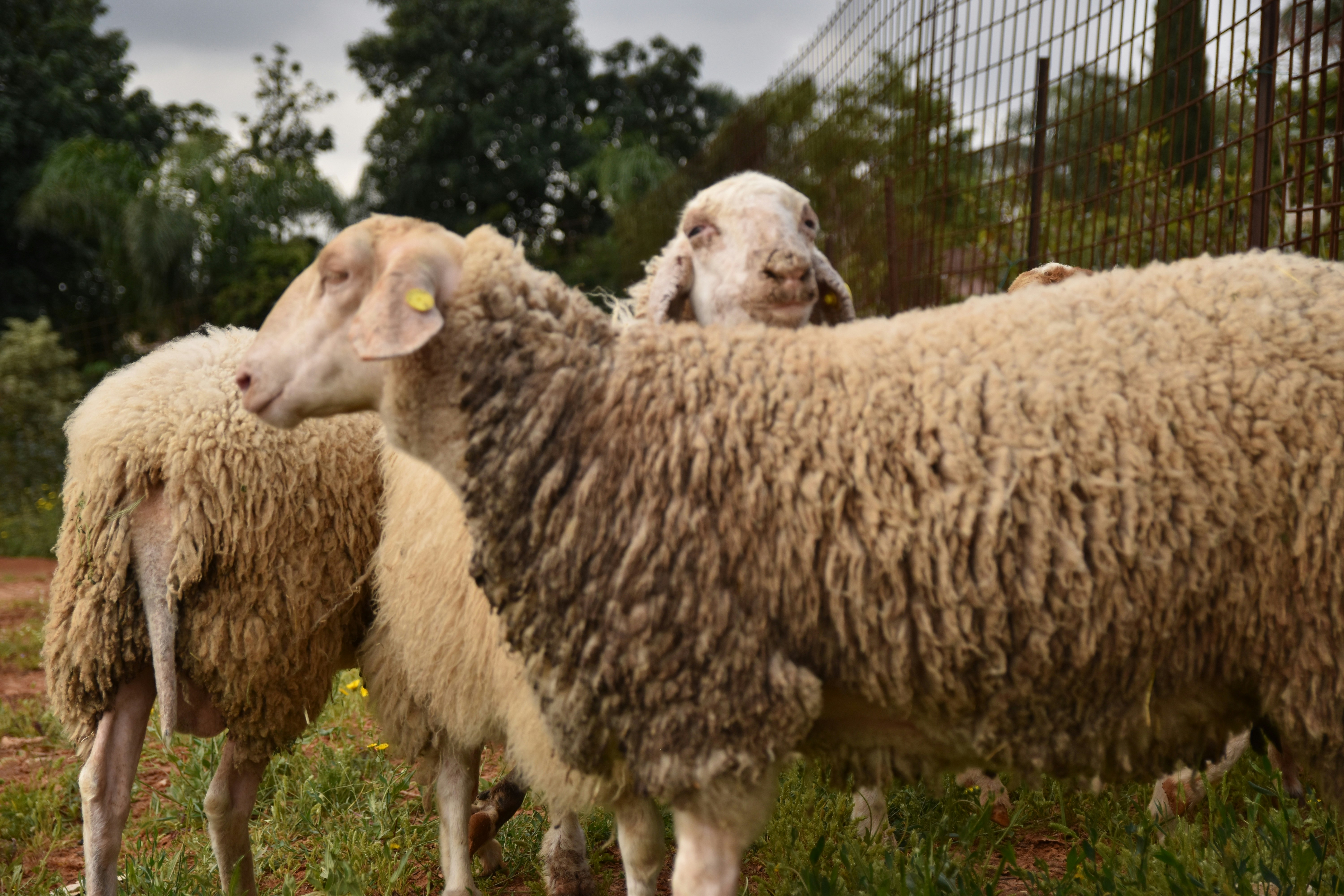 Photo by veronica_chalyj