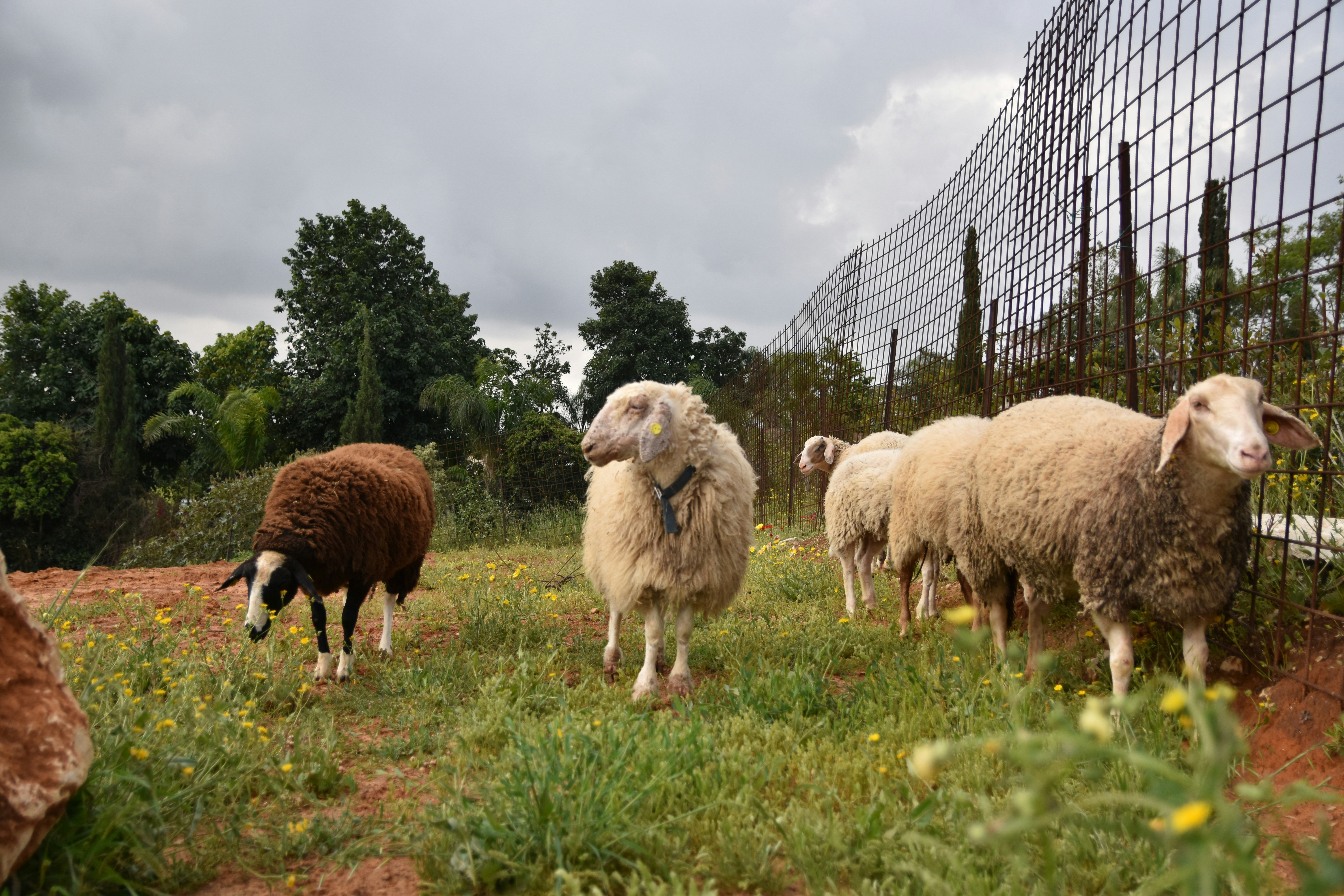 Photo by veronica_chalyj