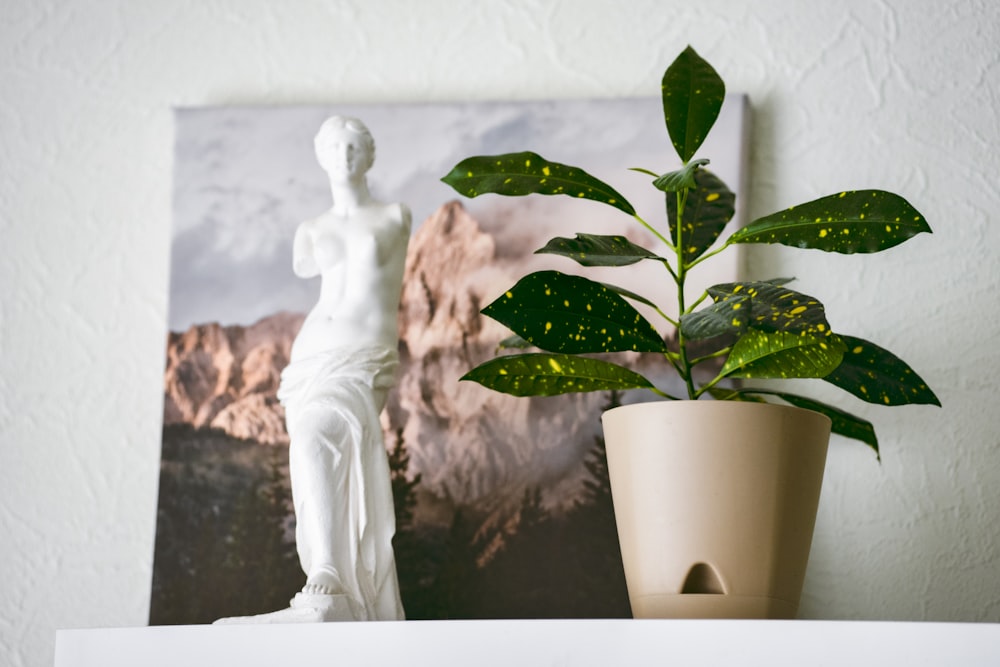 une statue d’une femme à côté d’une plante en pot