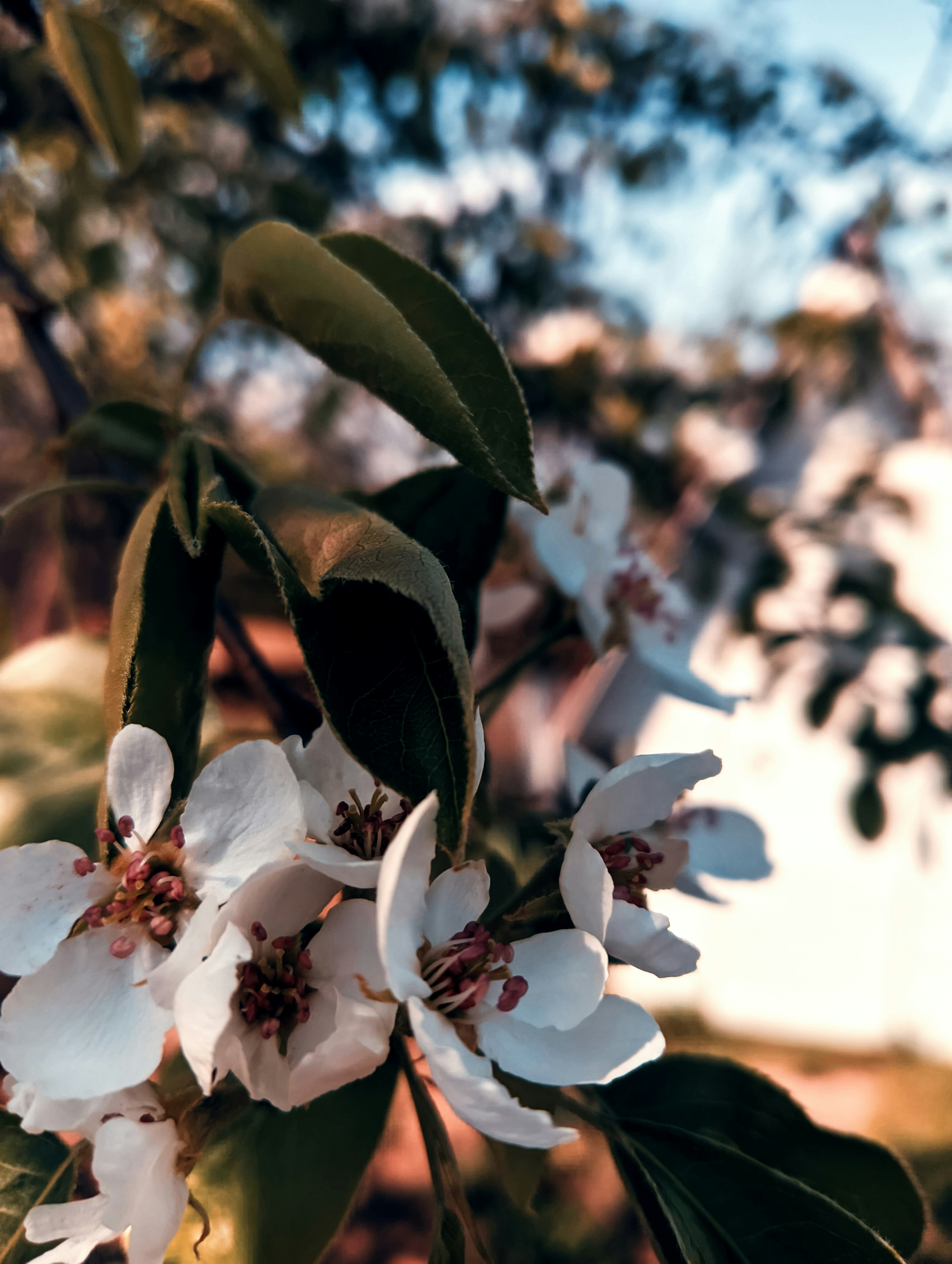 Photo by maxzakart