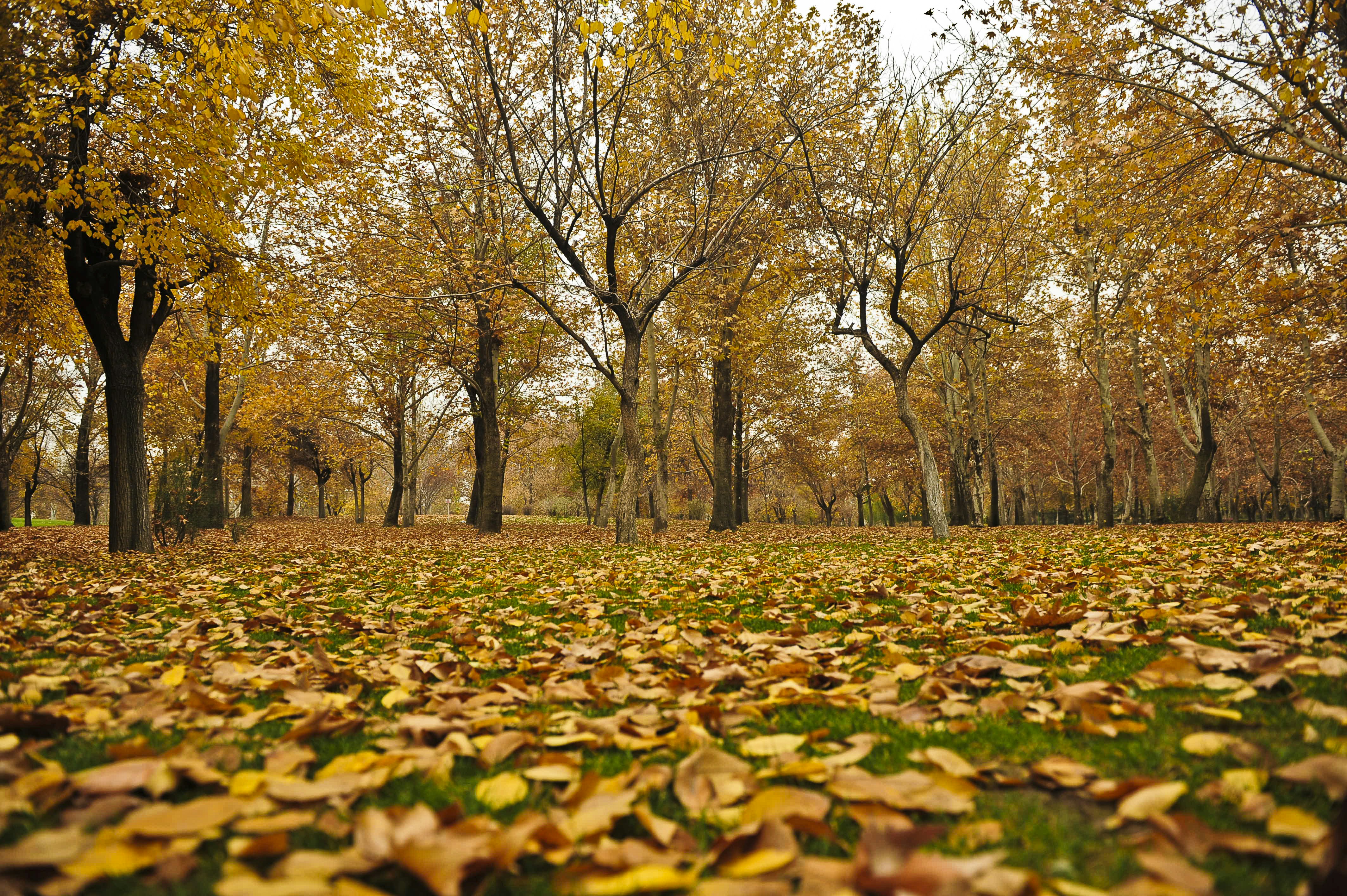 Photo by malihreh_farhadi