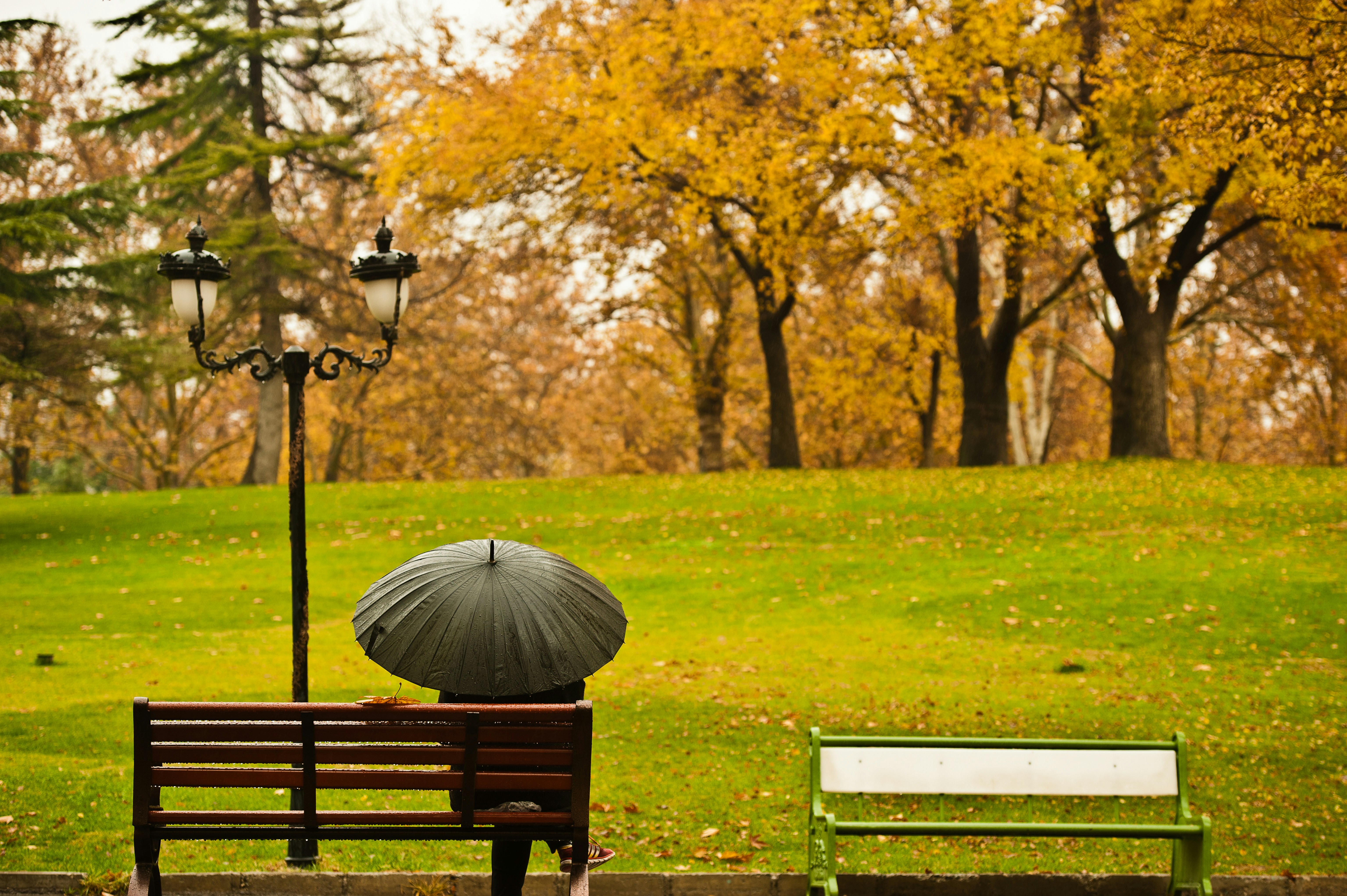 Photo by malihreh_farhadi