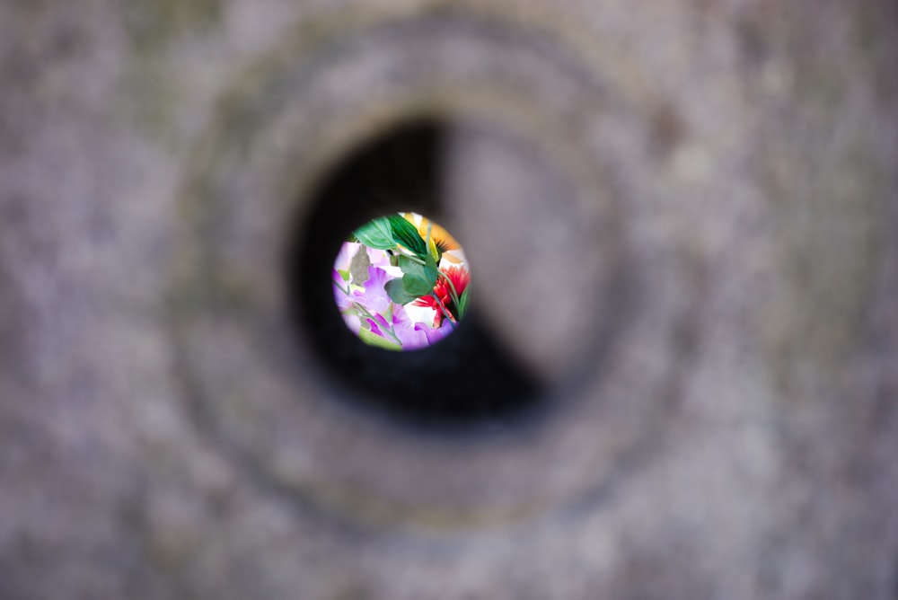a close up of a circular object with flowers on it