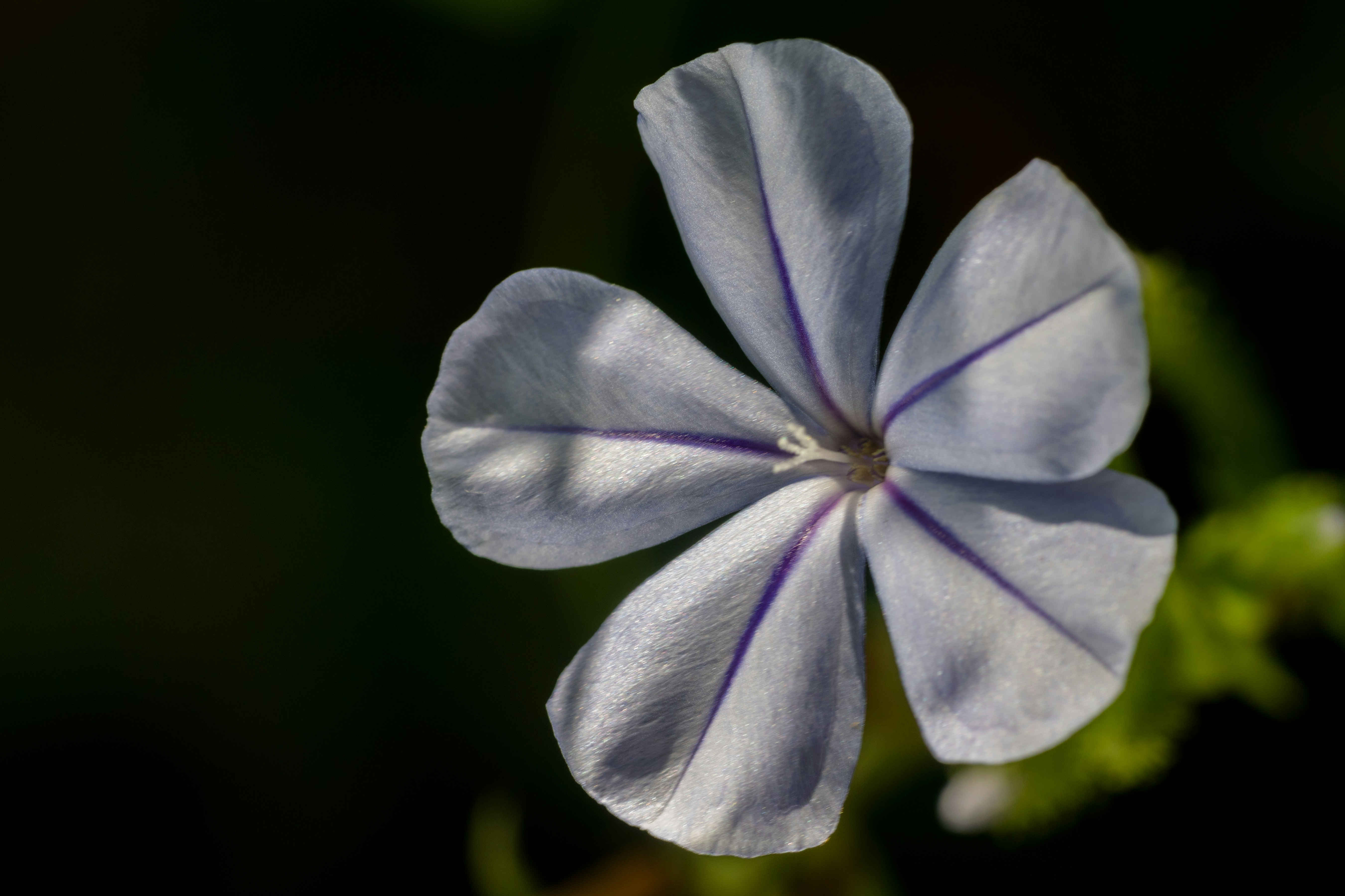 Photo by sonika_agarwal