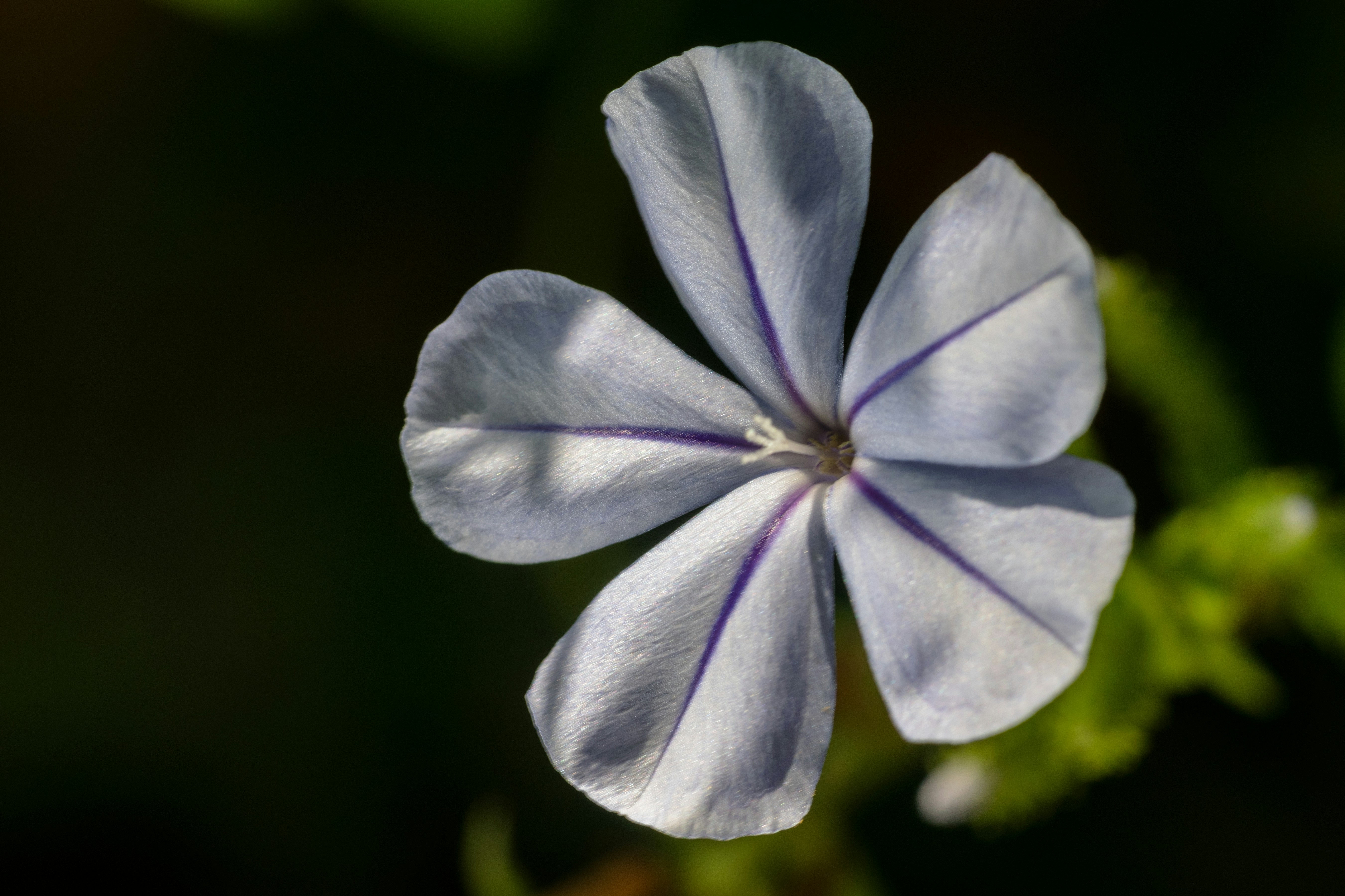 Photo by sonika_agarwal