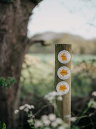 a wooden pole with three arrows on it