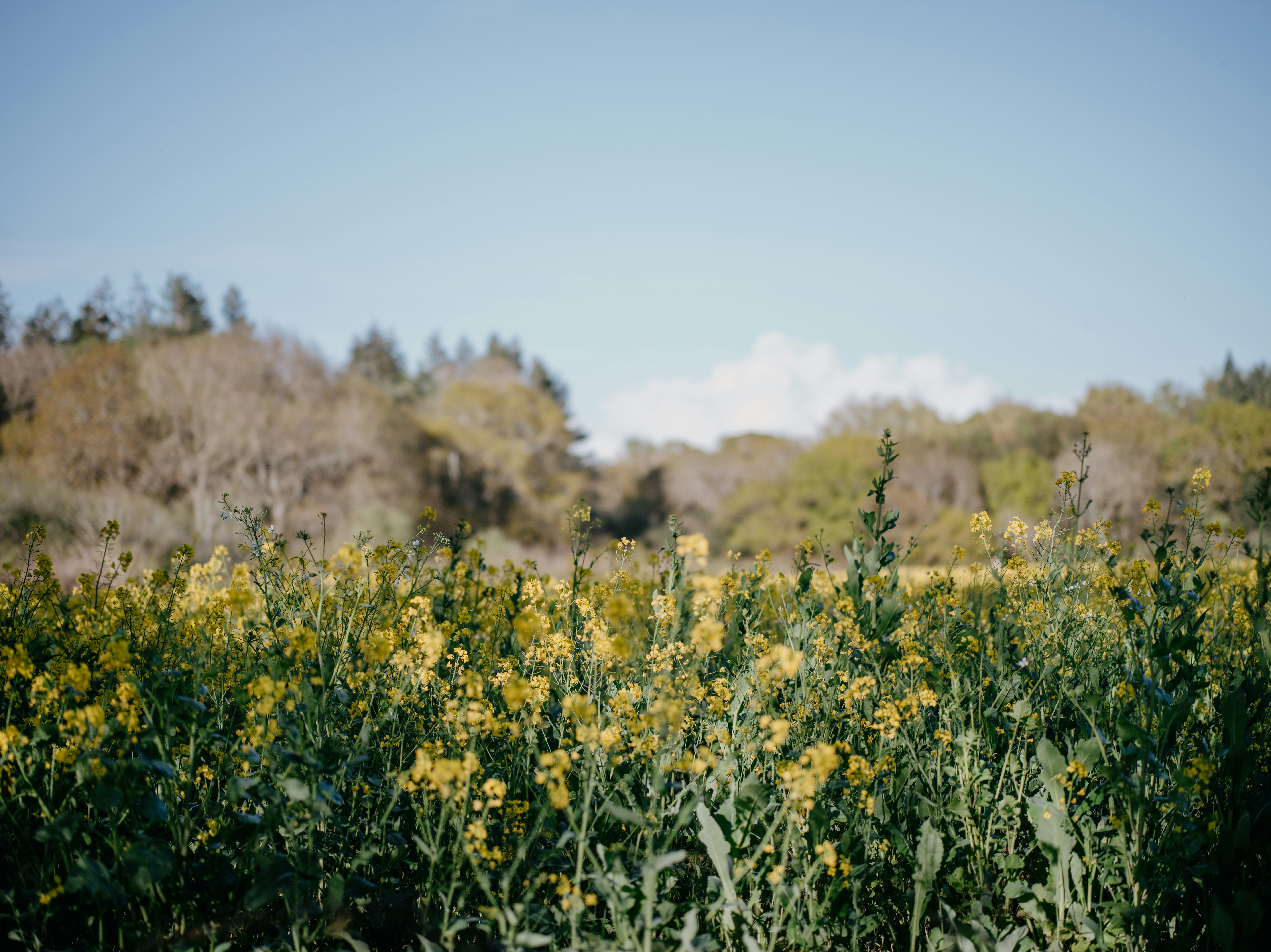 Photo by anniespratt