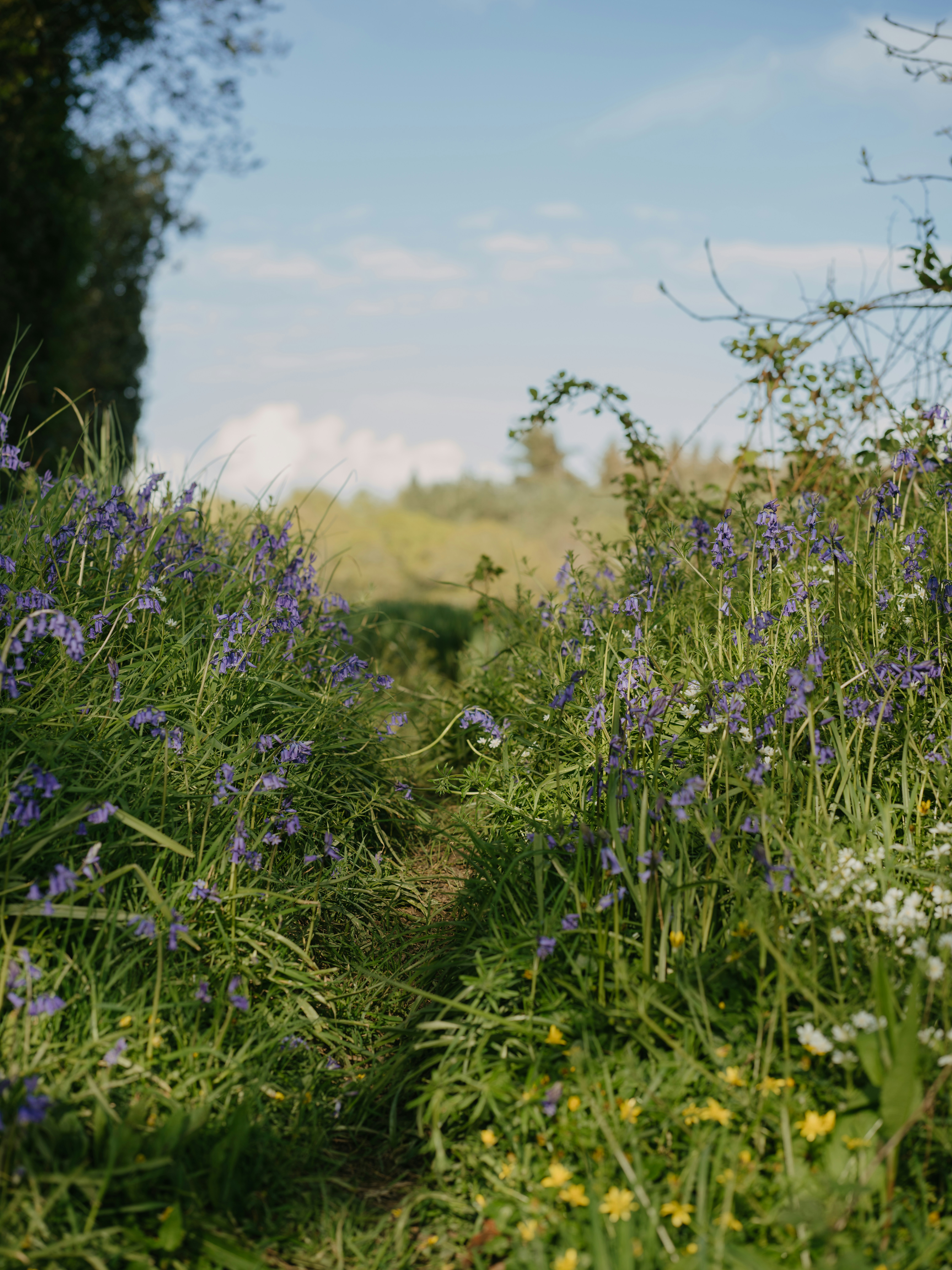 Photo by anniespratt