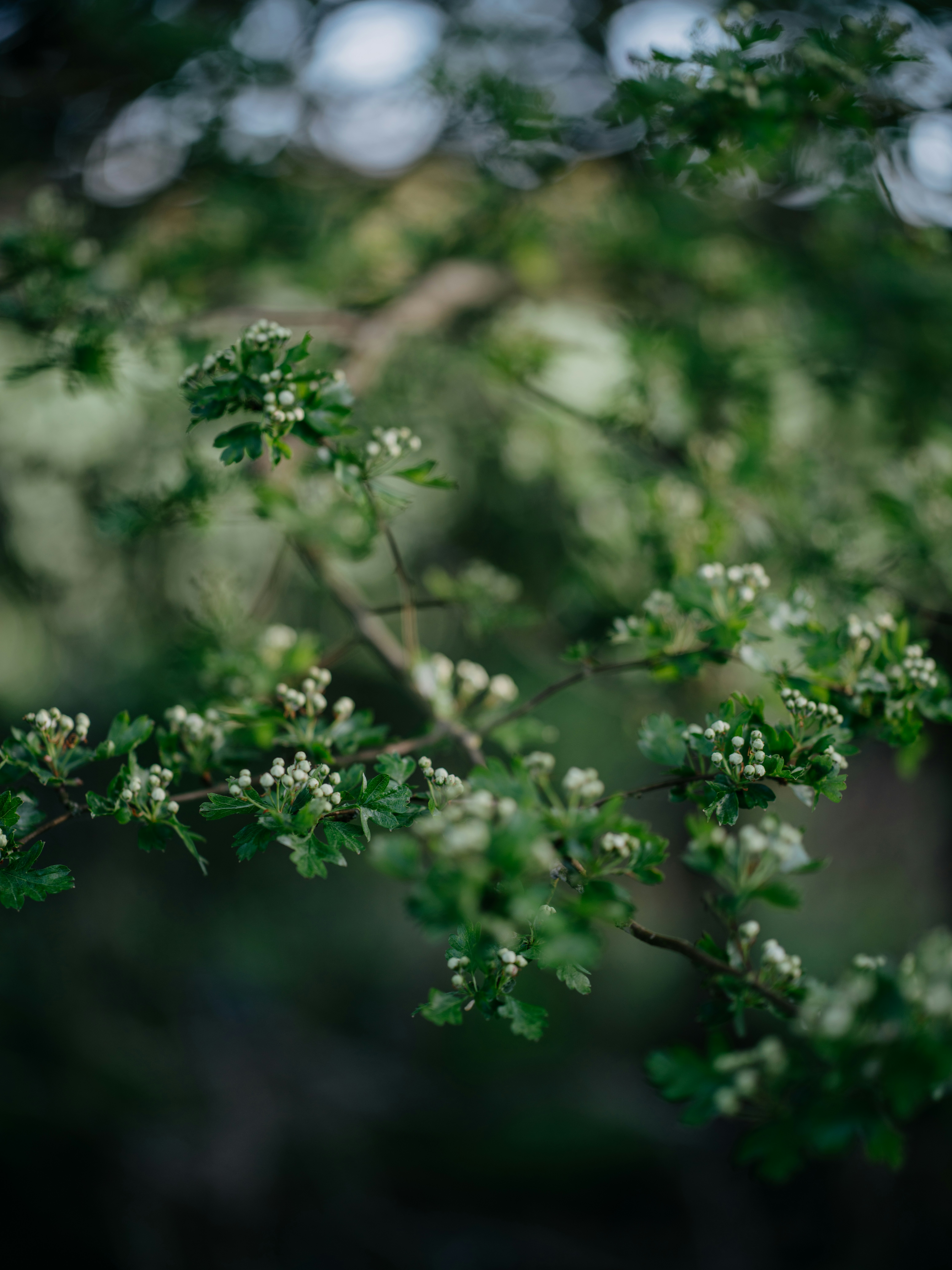 Photo by anniespratt