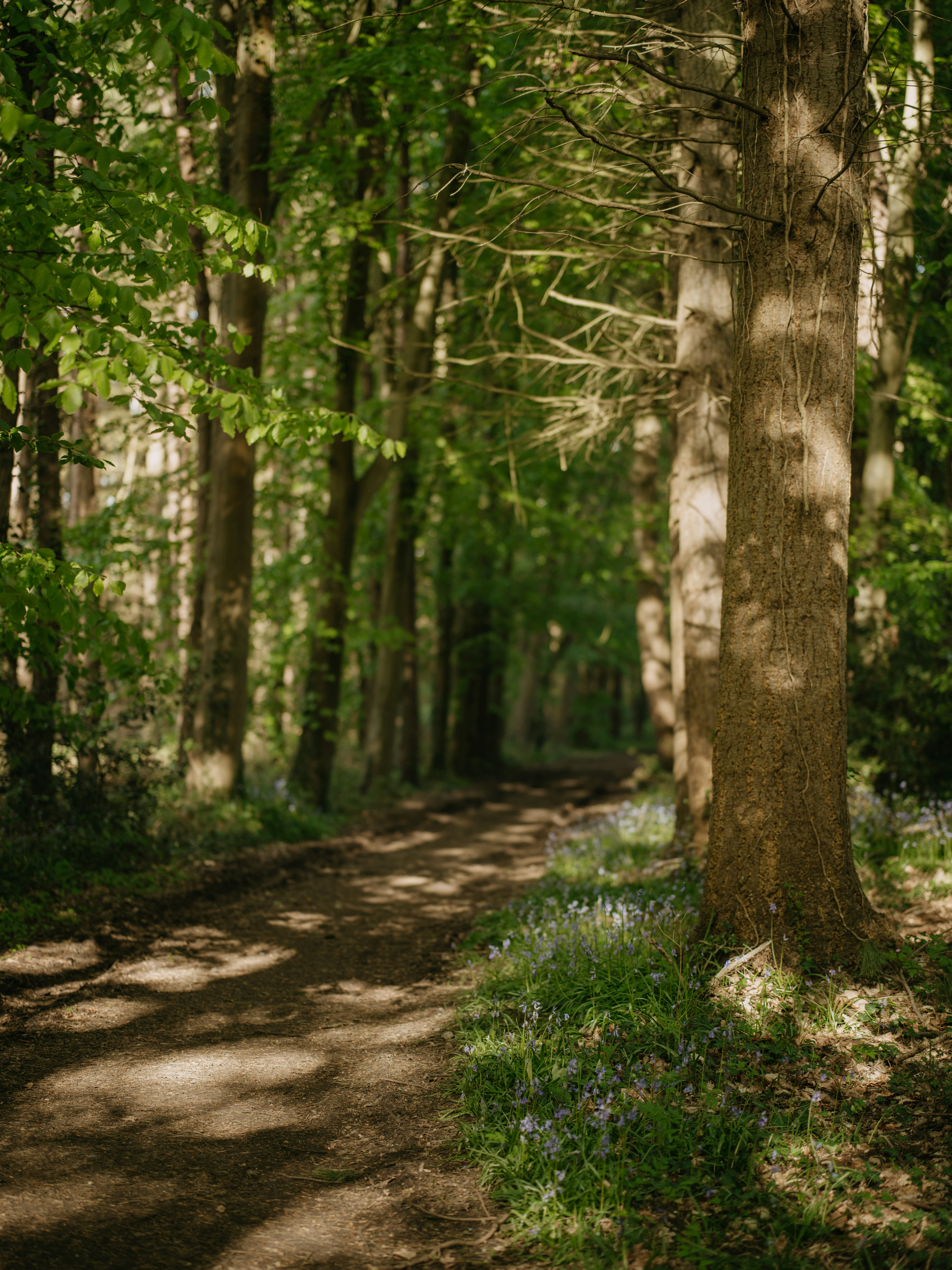 Photo by anniespratt