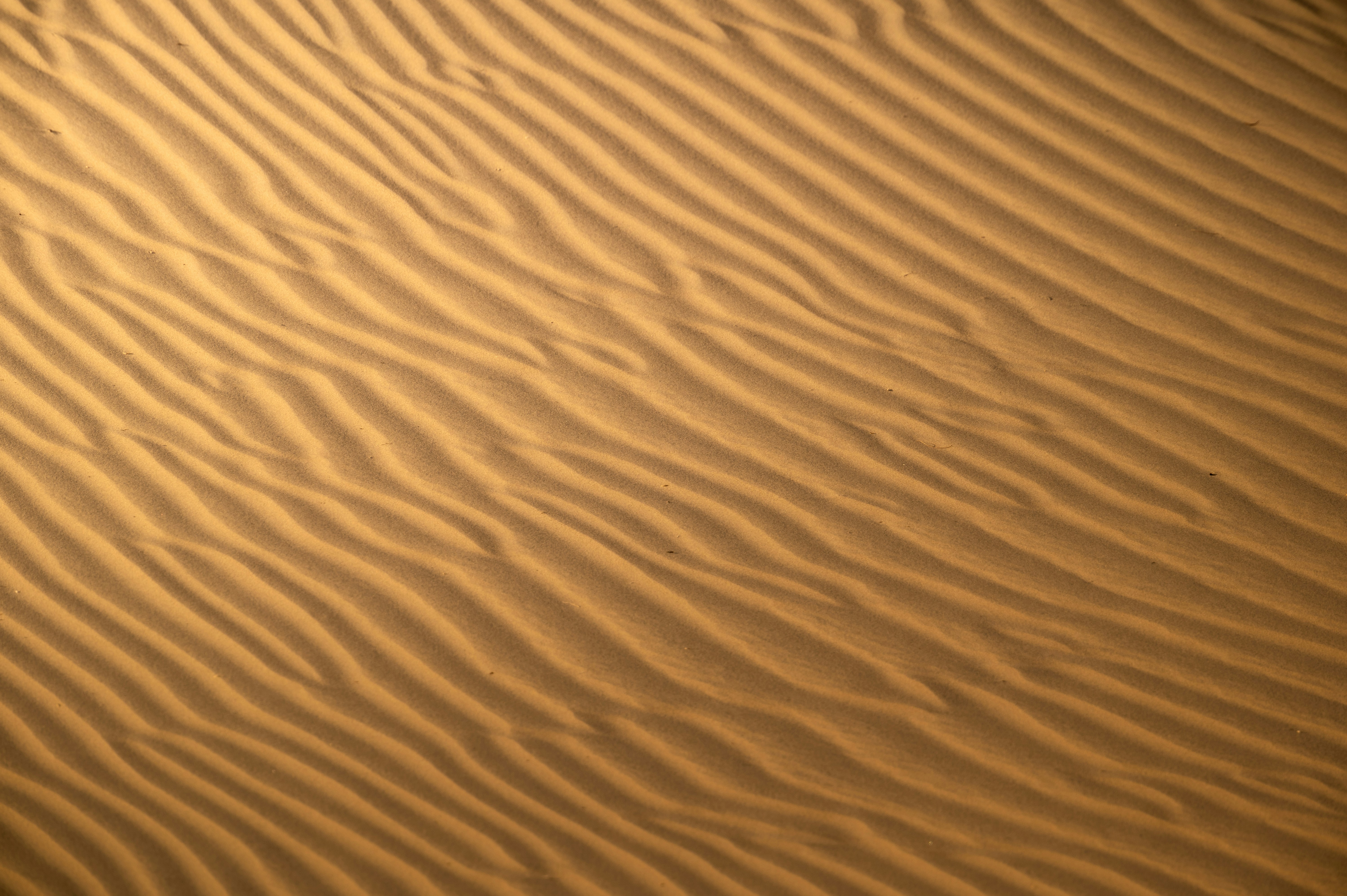 a person riding a surfboard on top of a sandy beach