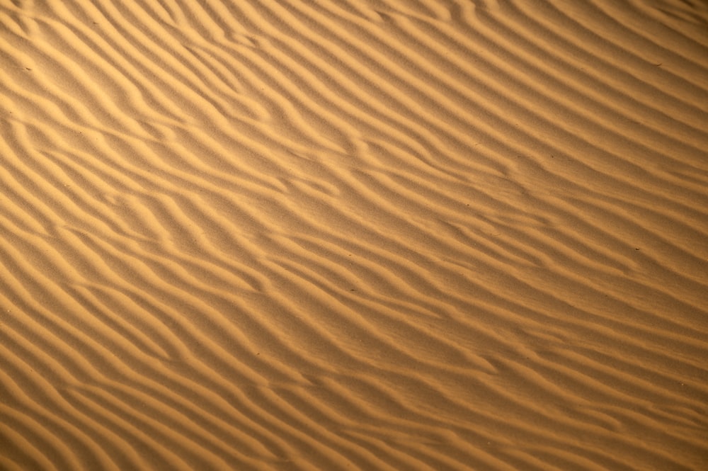 a person riding a surfboard on top of a sandy beach