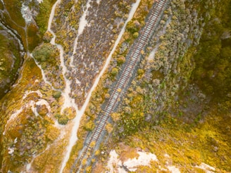 An aerial view of a railway track cutting through a landscape dominated by brown, green, and yellow vegetation. The tracks are surrounded by dense shrubbery, with a few dirt paths meandering through the area.
