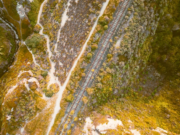 An aerial view of a railway track cutting through a landscape dominated by brown, green, and yellow vegetation. The tracks are surrounded by dense shrubbery, with a few dirt paths meandering through the area.