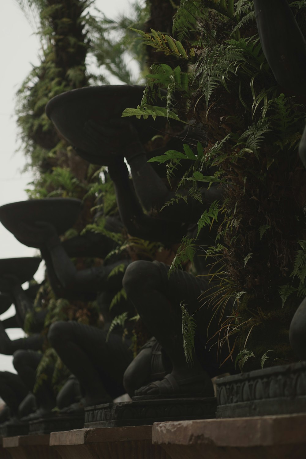 a row of water fountains sitting next to a lush green forest