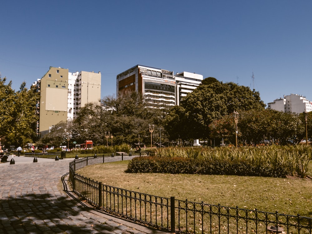 a city park with a large building in the background