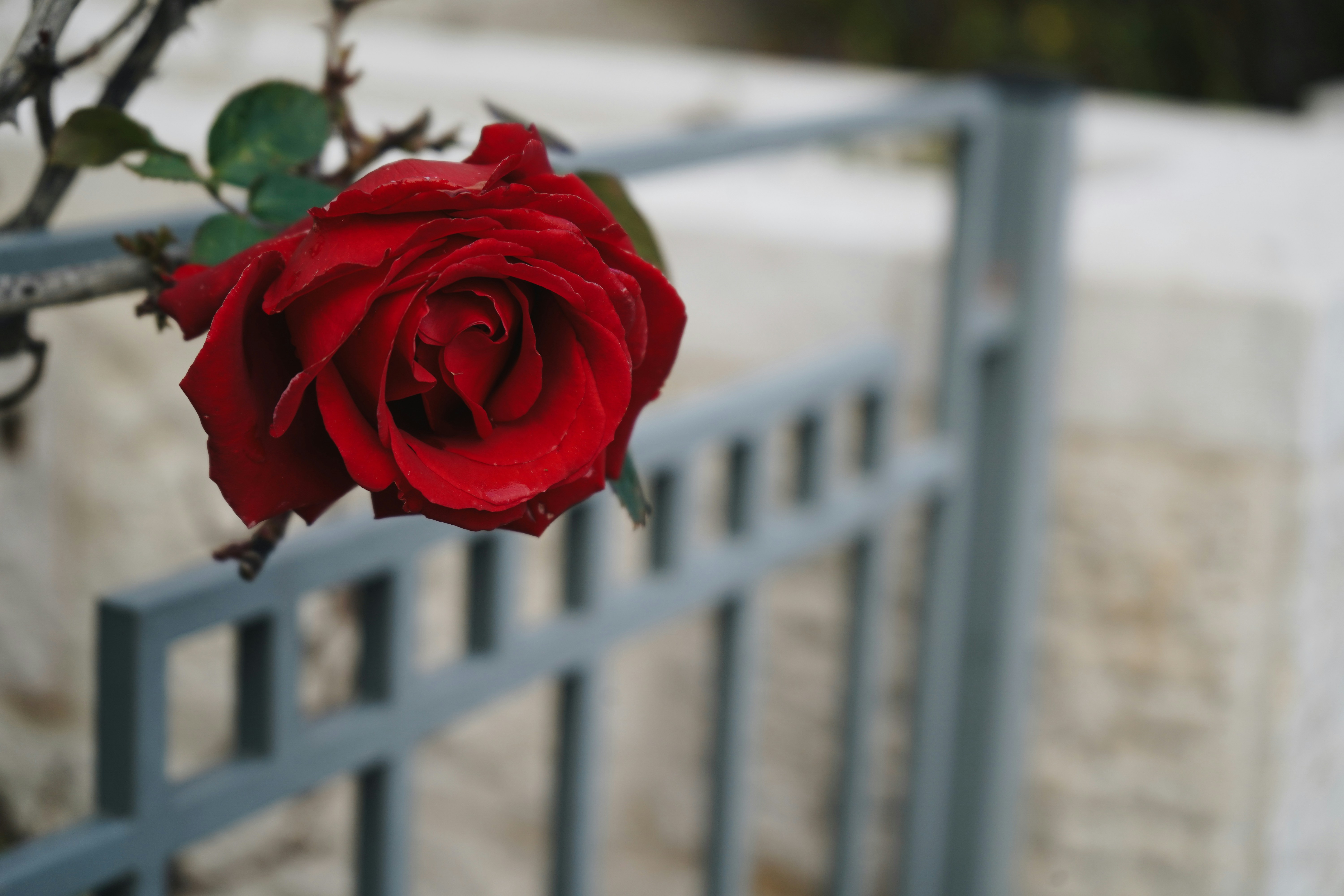 Photo by anyachernykh