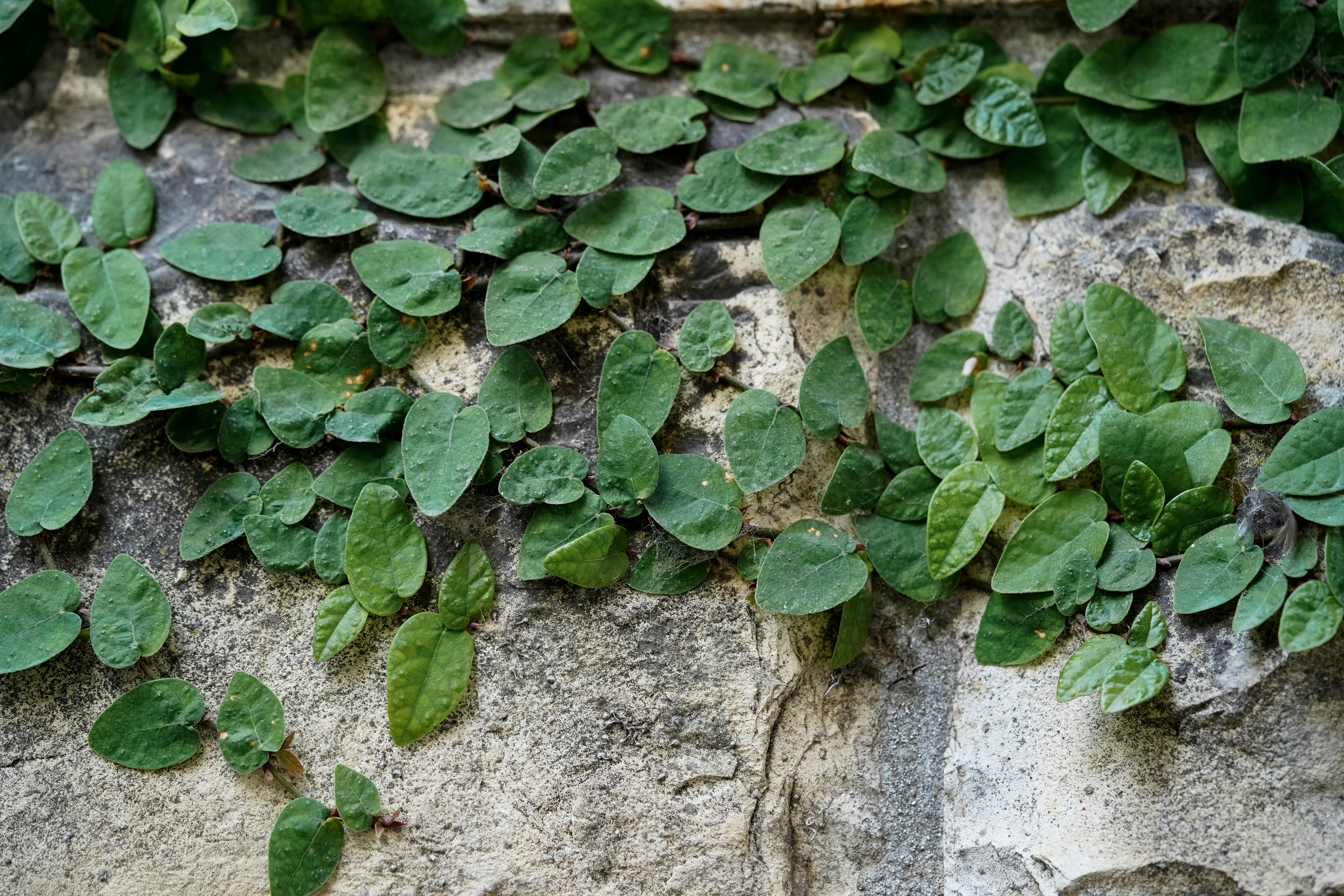 Photo by anyachernykh