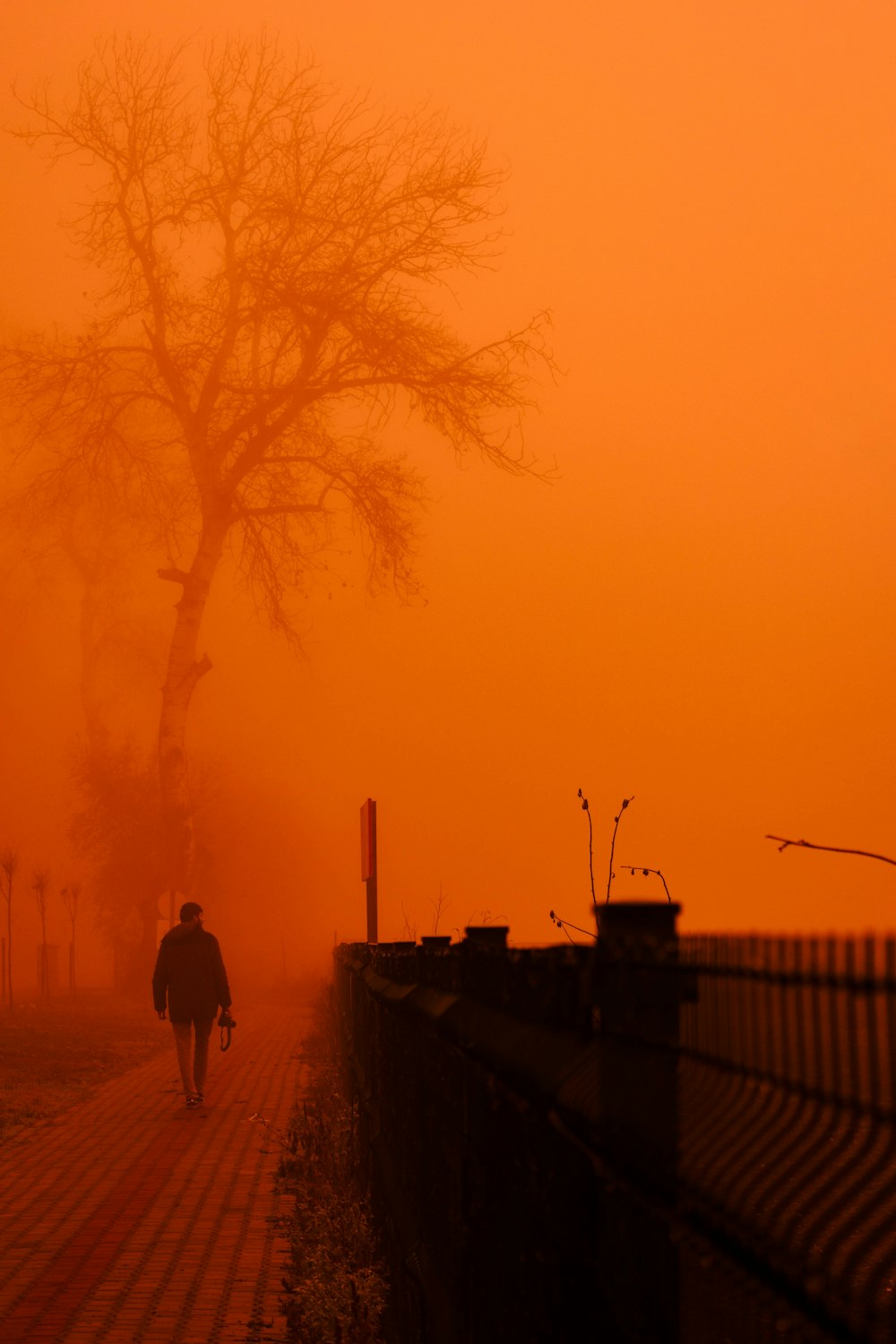 a person walking down a road in the fog