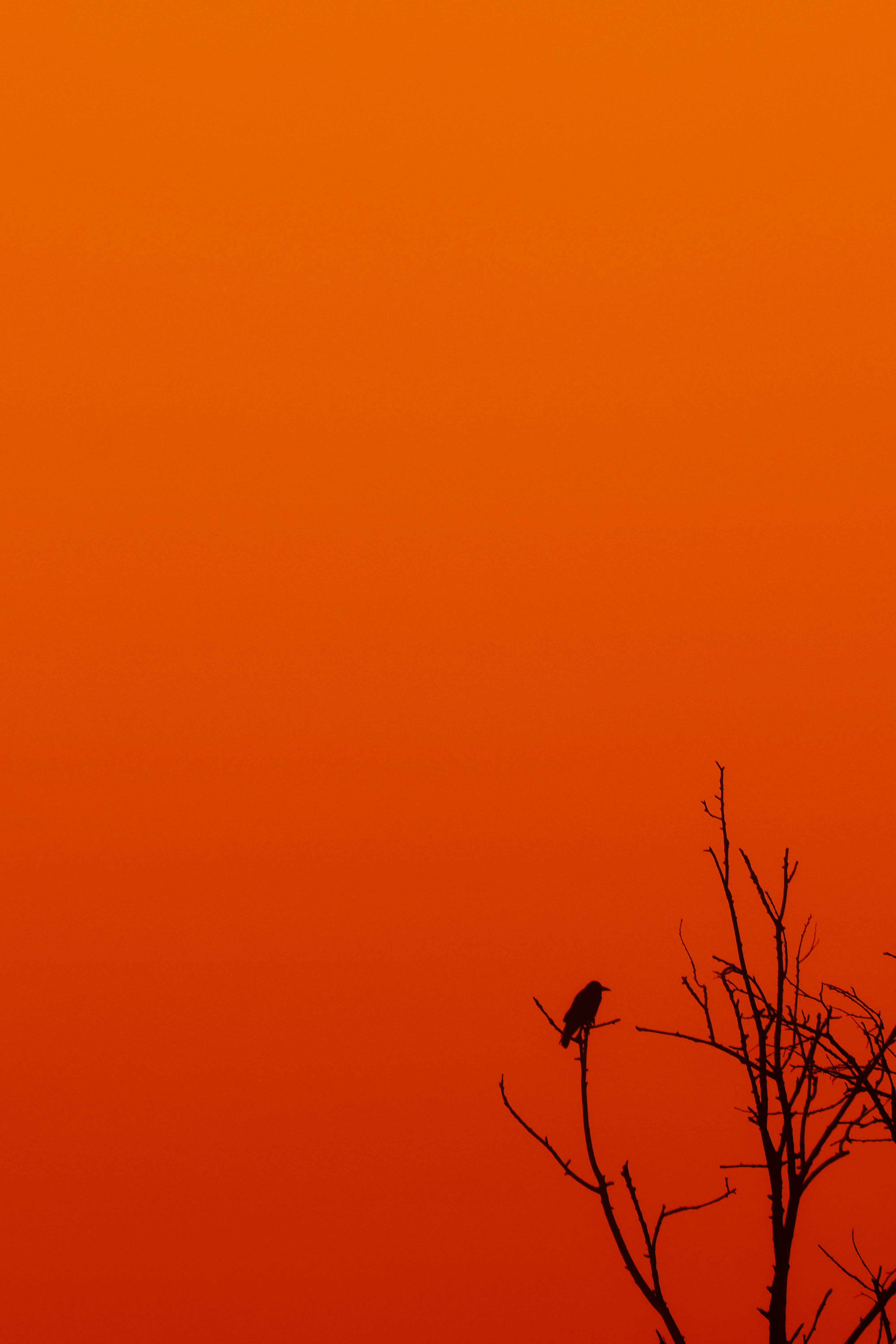 Photo by enesersahin