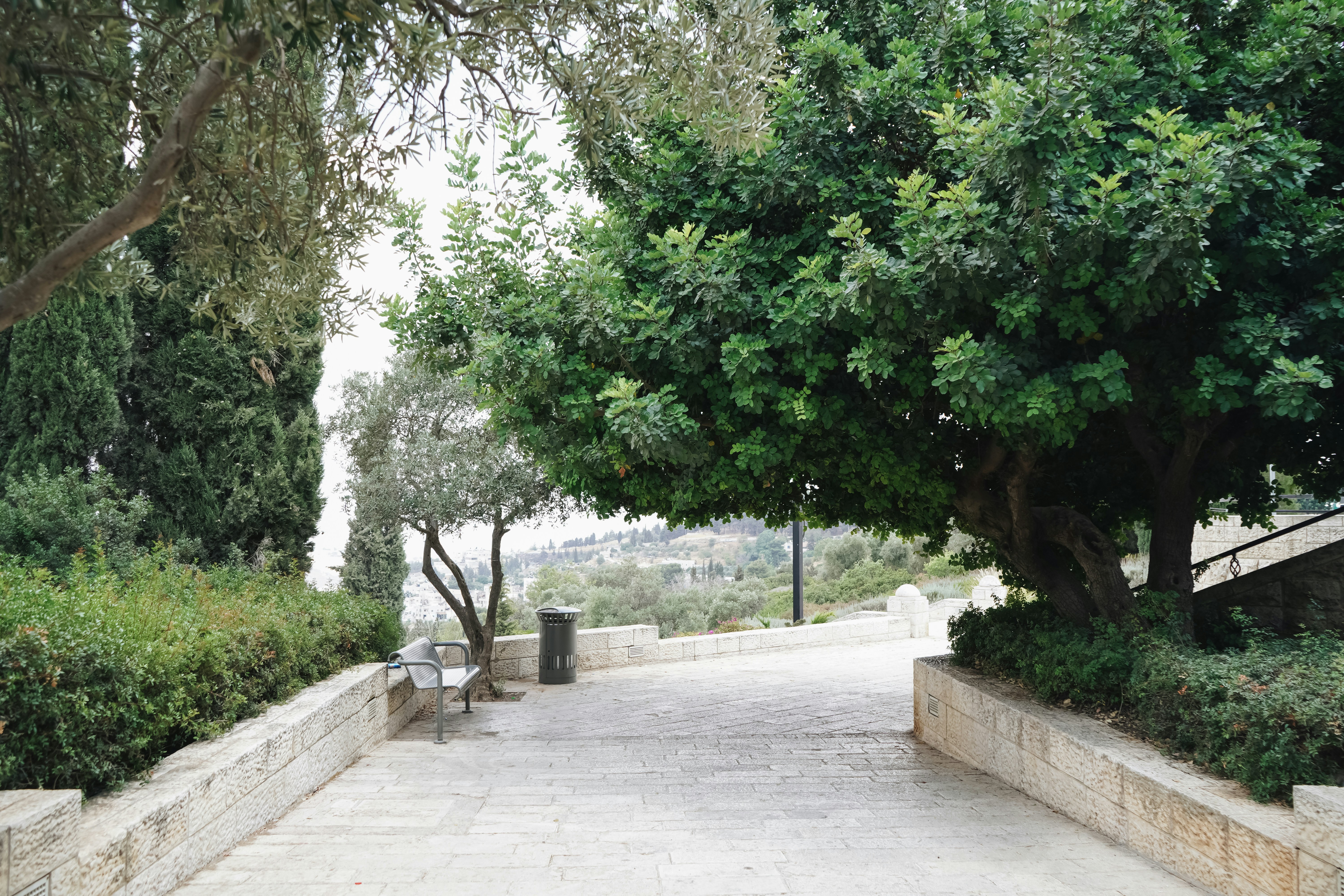 Photo by anyachernykh