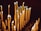 Numerous tall, wax candles are lit and arranged in rows, with soft, warm flames flickering in a dimly lit environment. Some candles are burned down more than others, and melted wax has dripped onto the surface below.