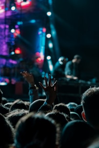 A lively concert scene with a crowd of people, one with a hand raised, enjoying the music. On stage, performers are visible in the background under vibrant, colorful lights featuring hues of blue, pink, and red.