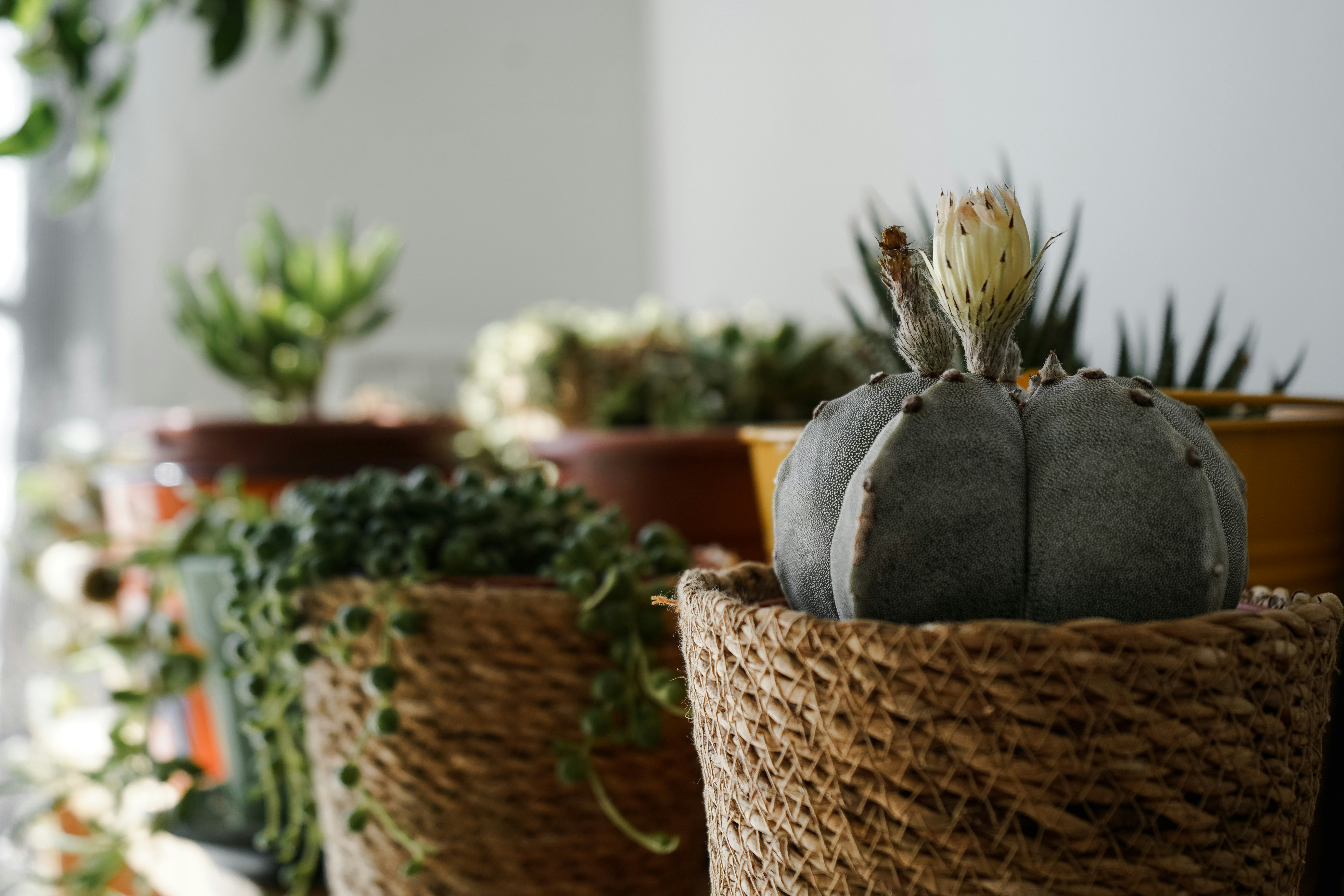 Photo by anyachernykh