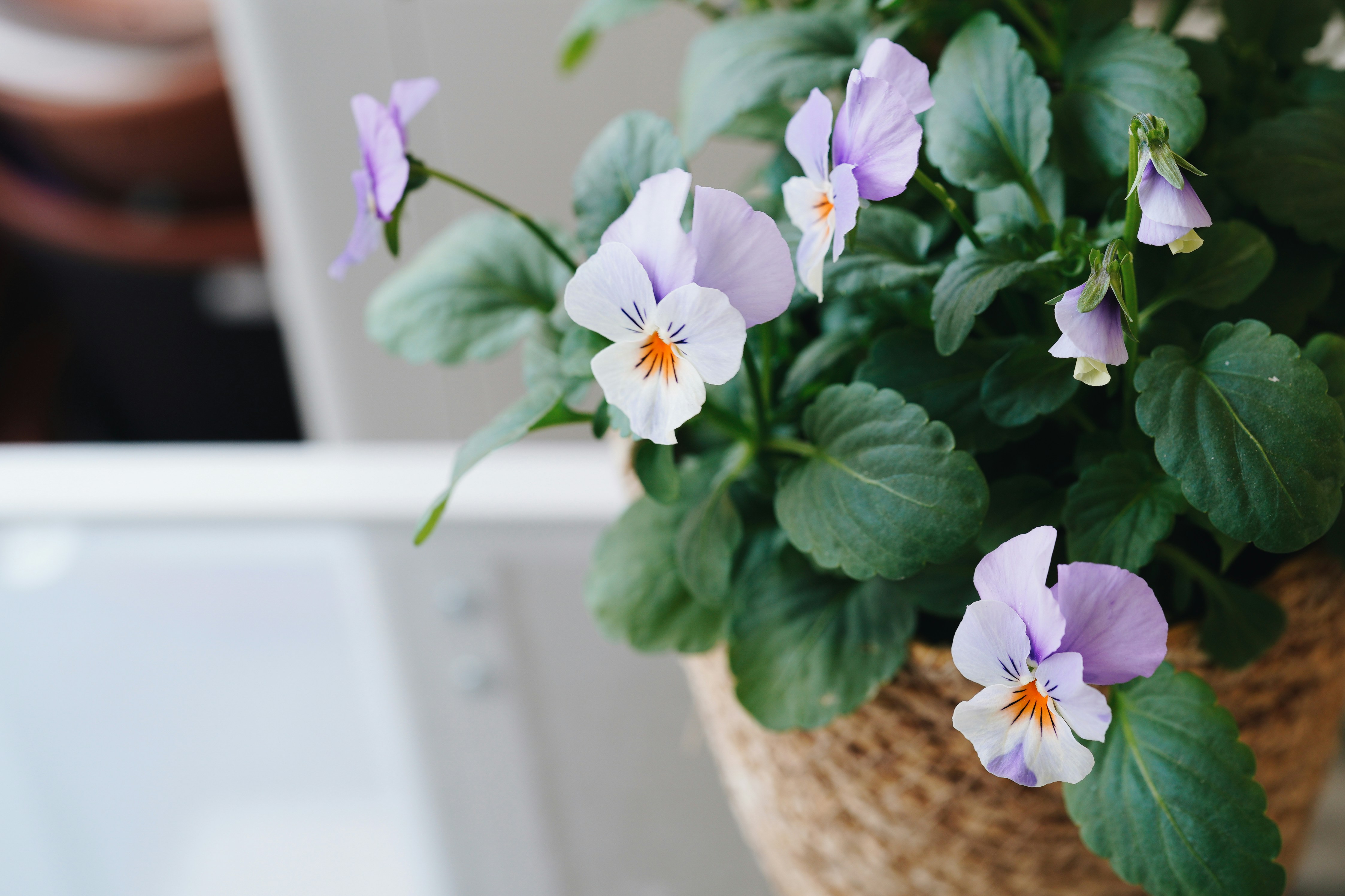 Photo by anyachernykh