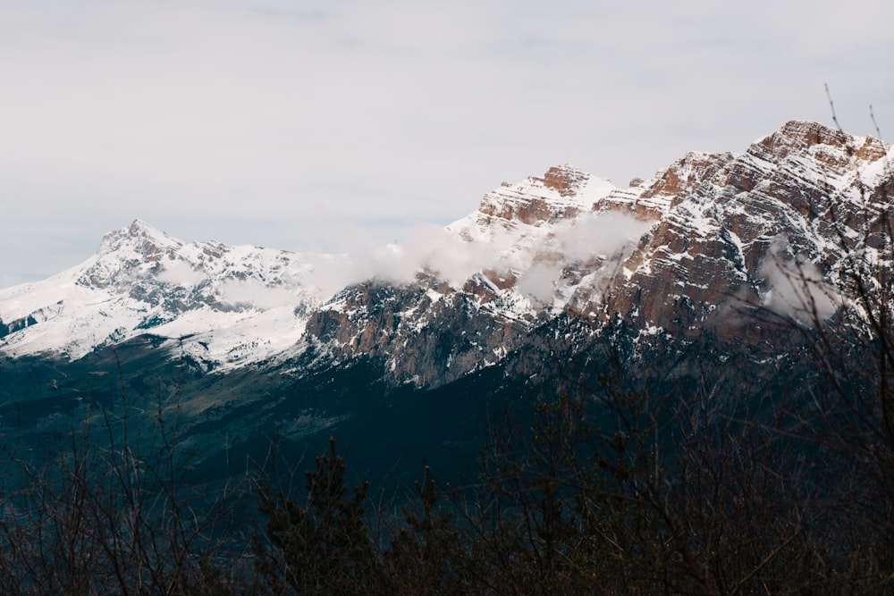 a snow covered mountain range with trees in the foreground