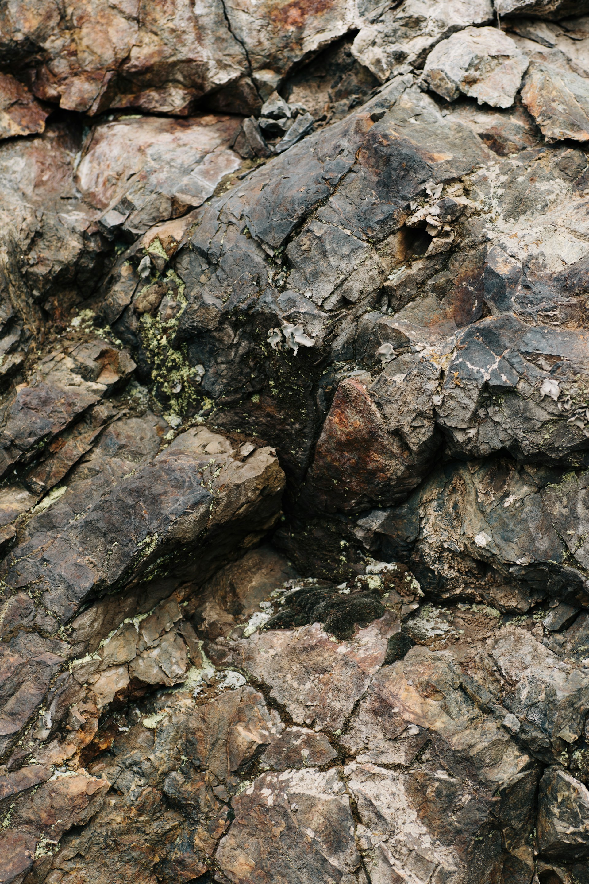 a bird is perched on a rock formation
