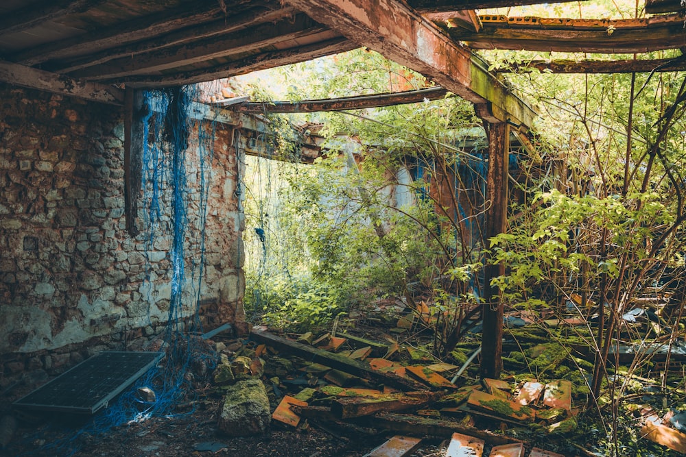 a run down building with a bunch of plants growing out of it