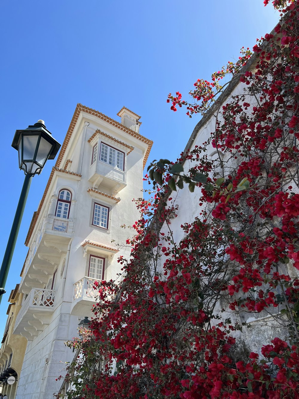 a white building with red flowers on the side of it