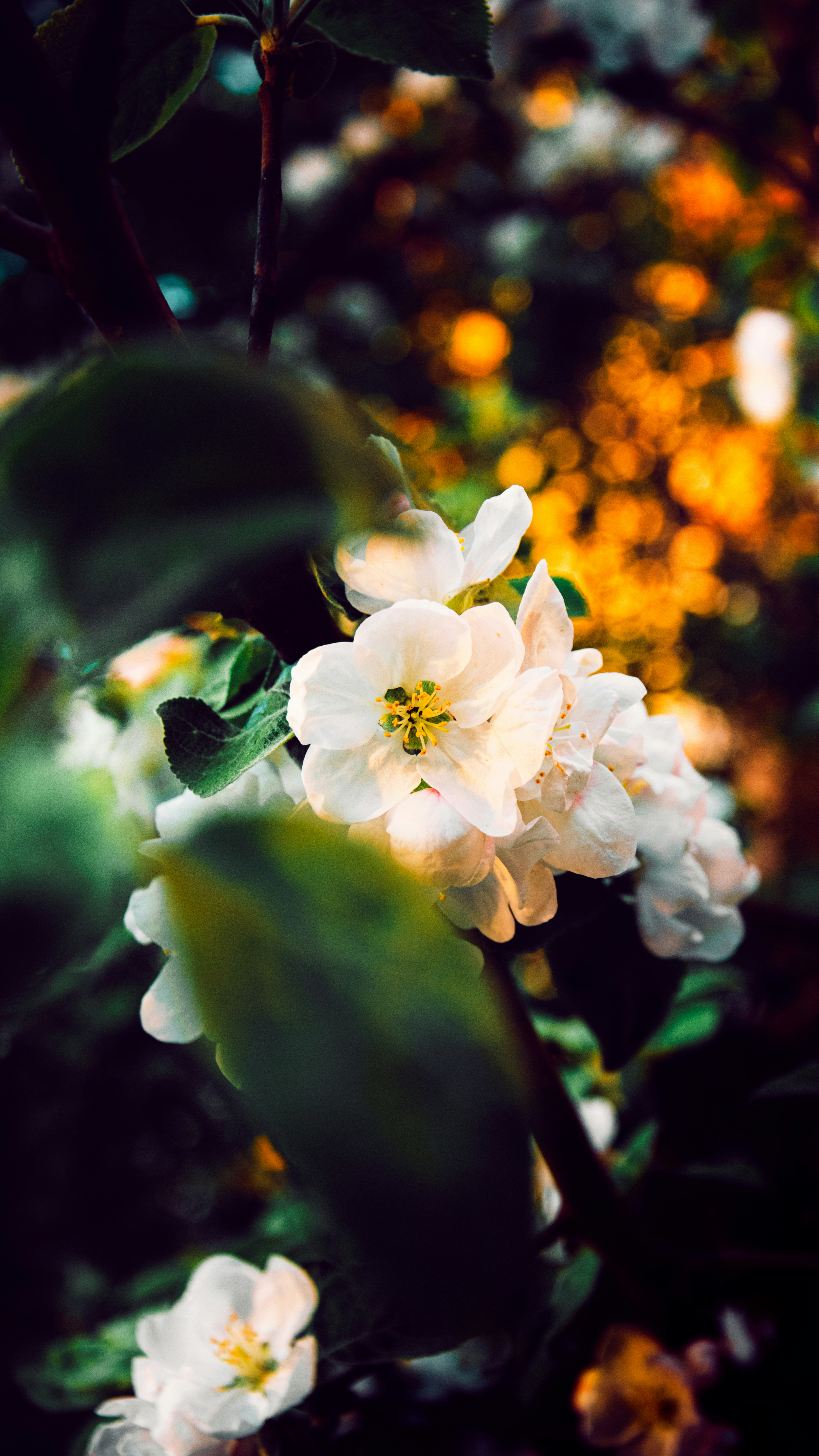 Photo by impermanent