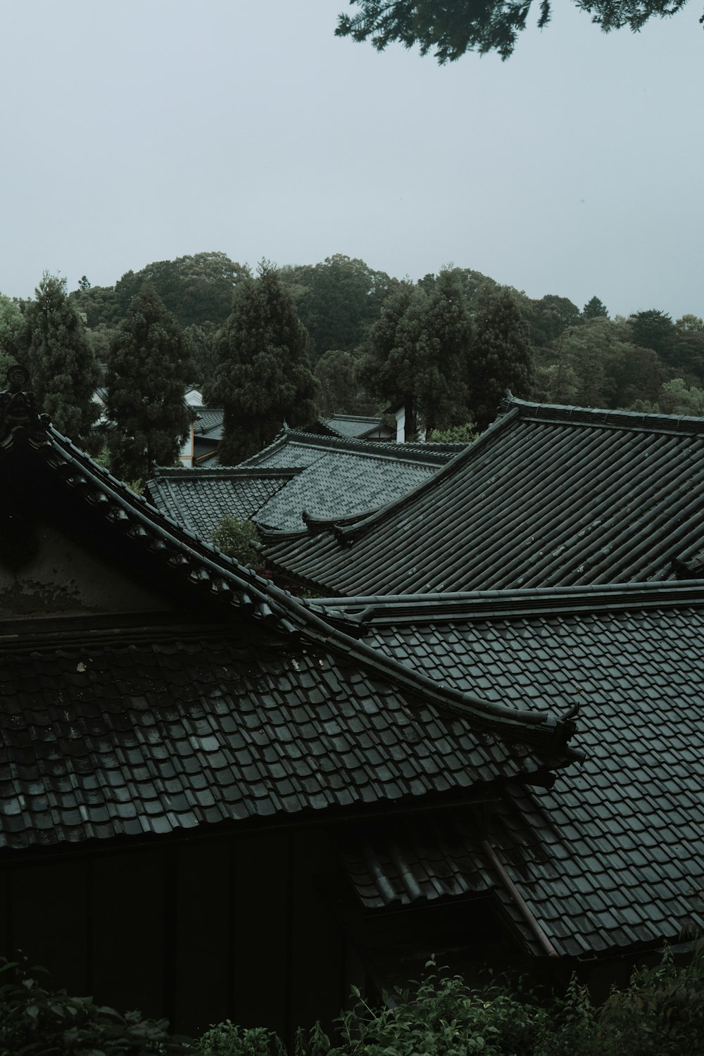 the roof of a building with trees in the background