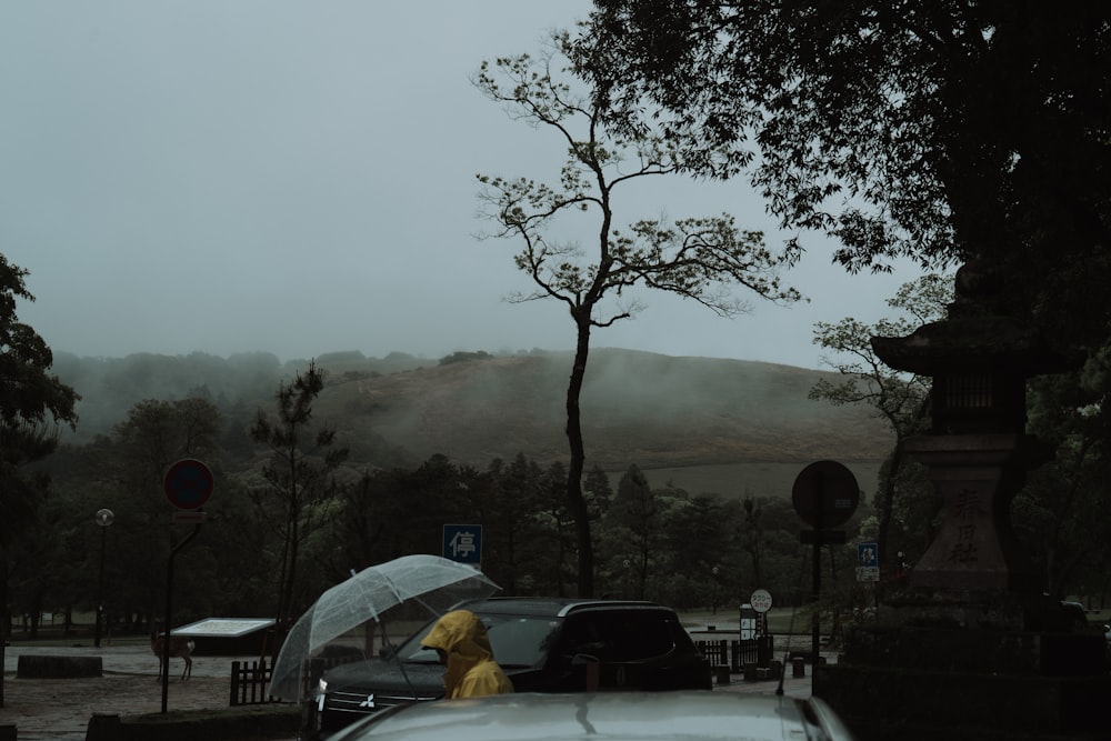 a person with an umbrella standing in the rain