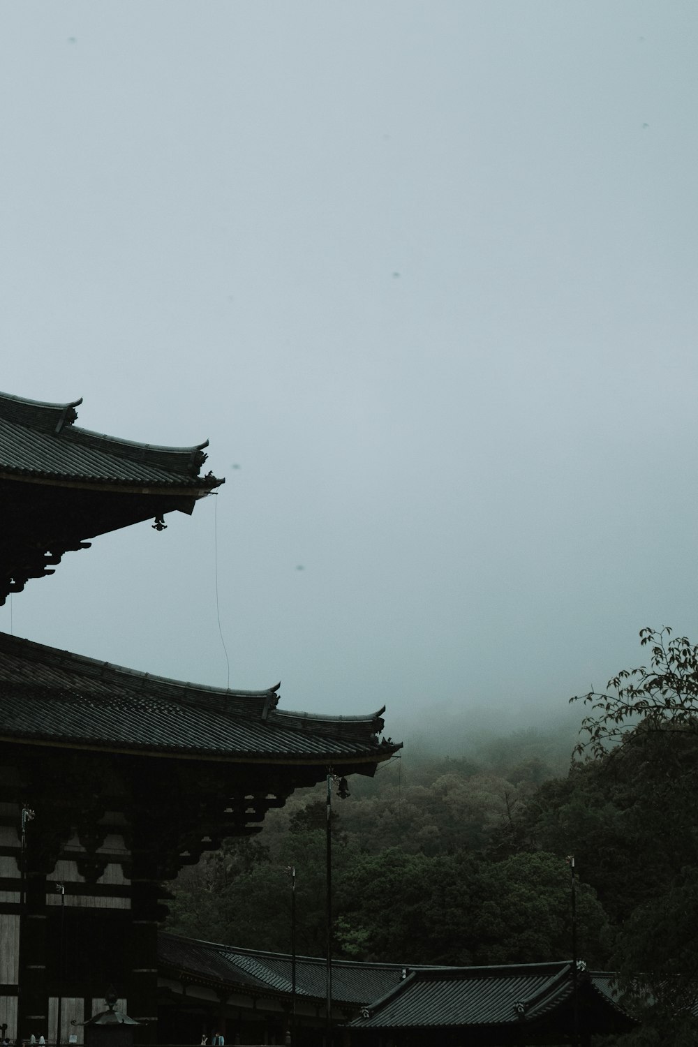 a tall building sitting on top of a lush green hillside