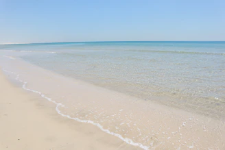 Warm, sunlit ocean waves gently touching a sandy shore under a clear blue sky.