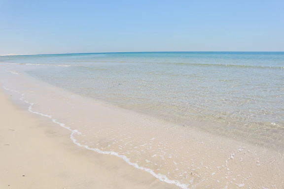A calm blue ocean wave gently rolling onto a sandy shore under a clear sky.
