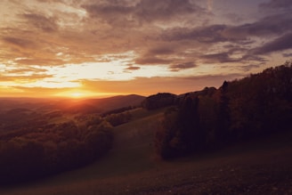 A fantasy landscape featuring rolling hills, dense forests, and a distant mountain range under a vibrant sunset.