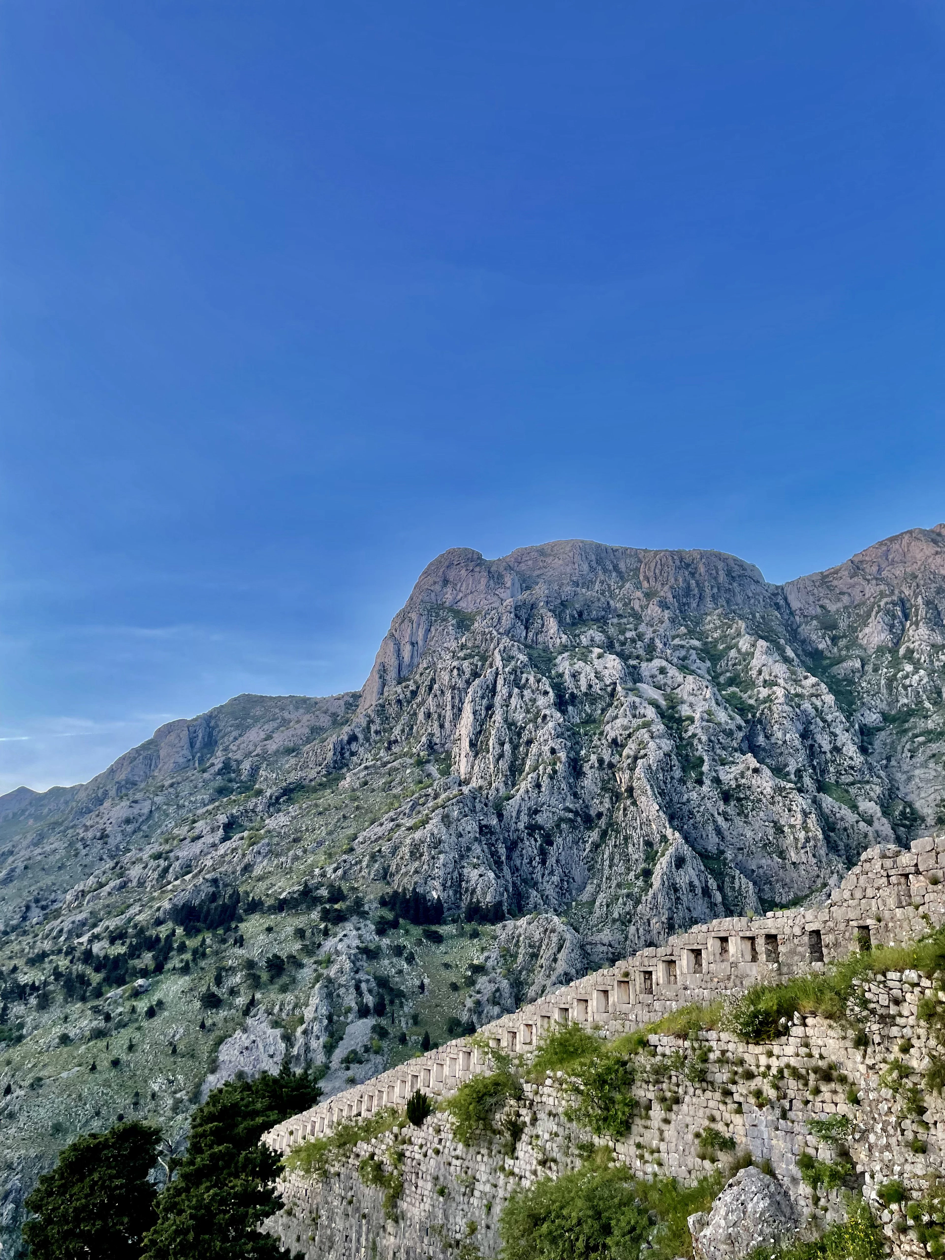 Kotor culture