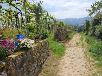 a stone path leading to a lush green hillside