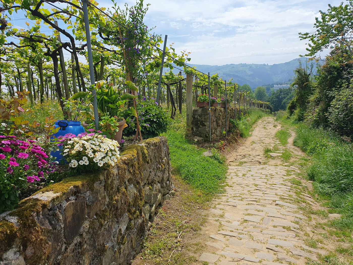 La Compostela