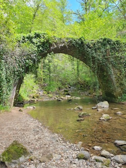 a stone bridge over a stream surrounded by trees