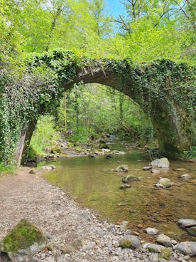 a stone bridge over a stream surrounded by trees