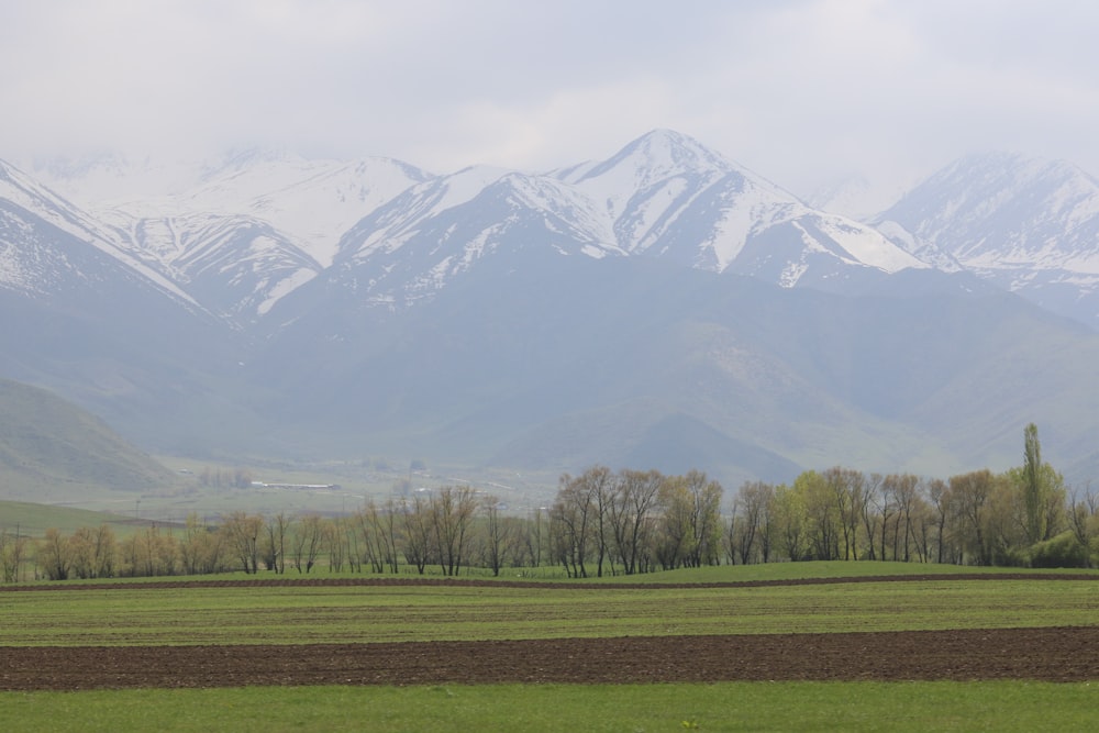 a field with snow covered mountains in the background